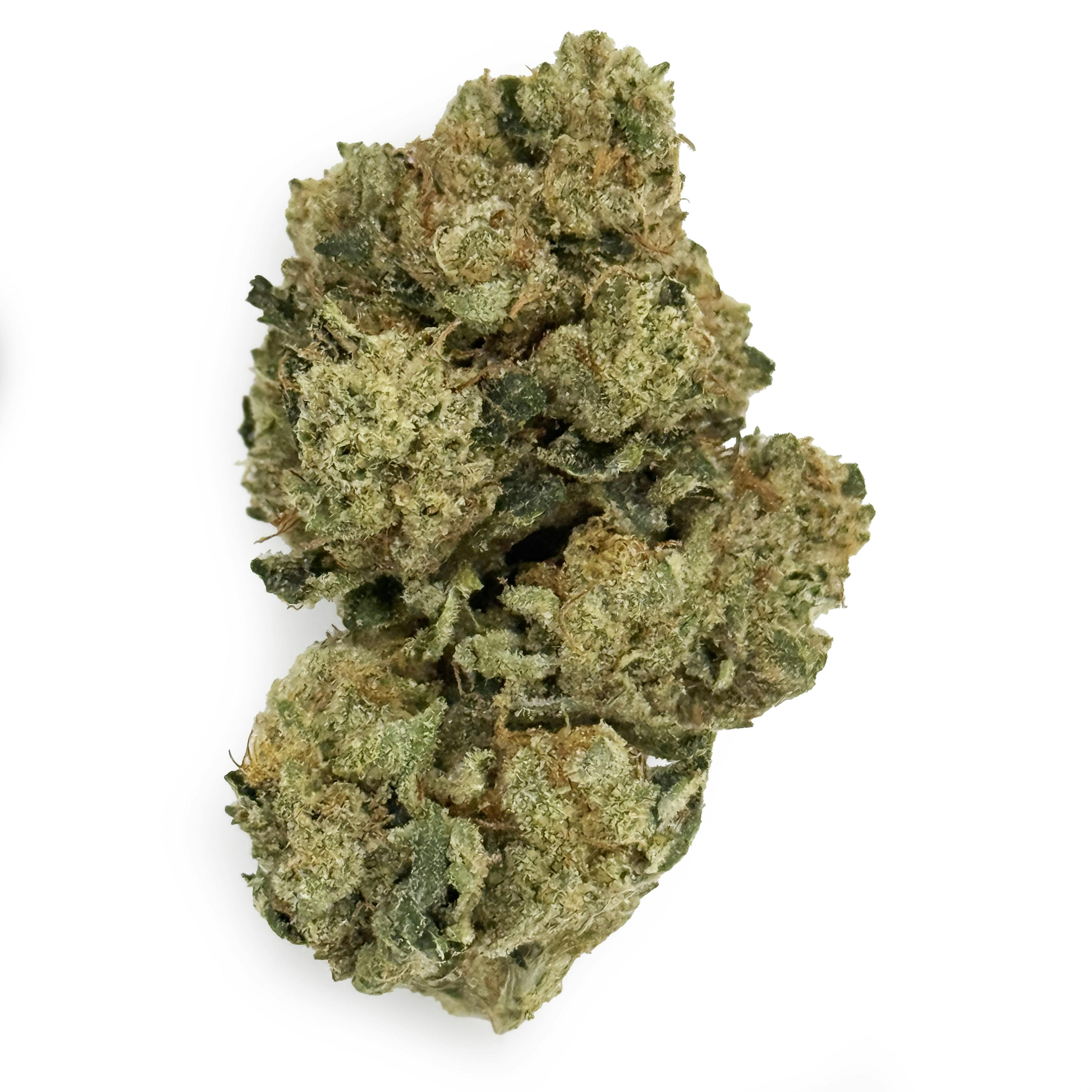Gus's Real Exotics - Zoot Roll Ups