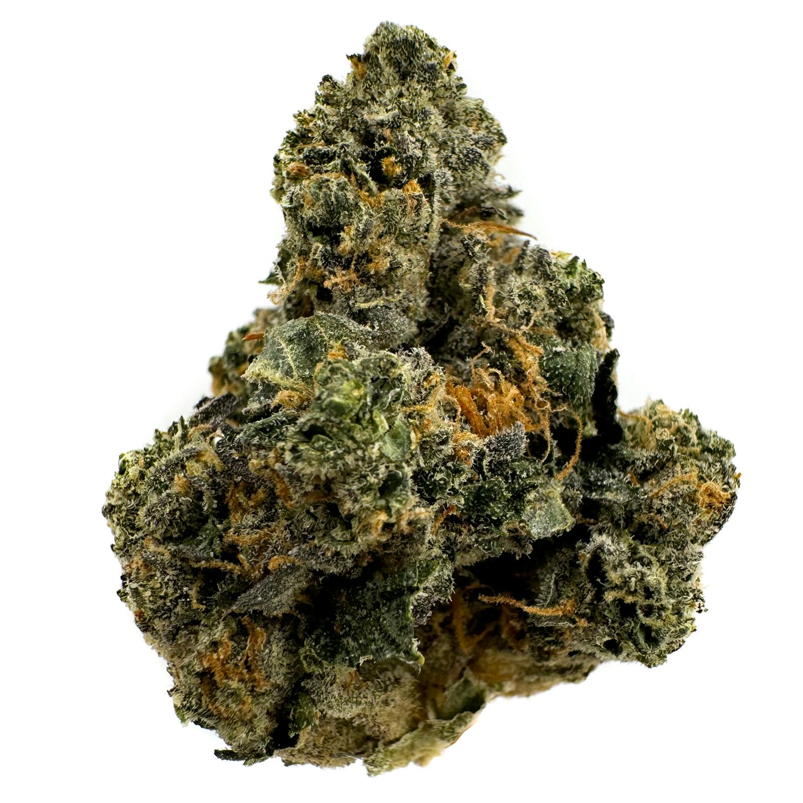 Popz 41 | Big Buds by Seed Junky