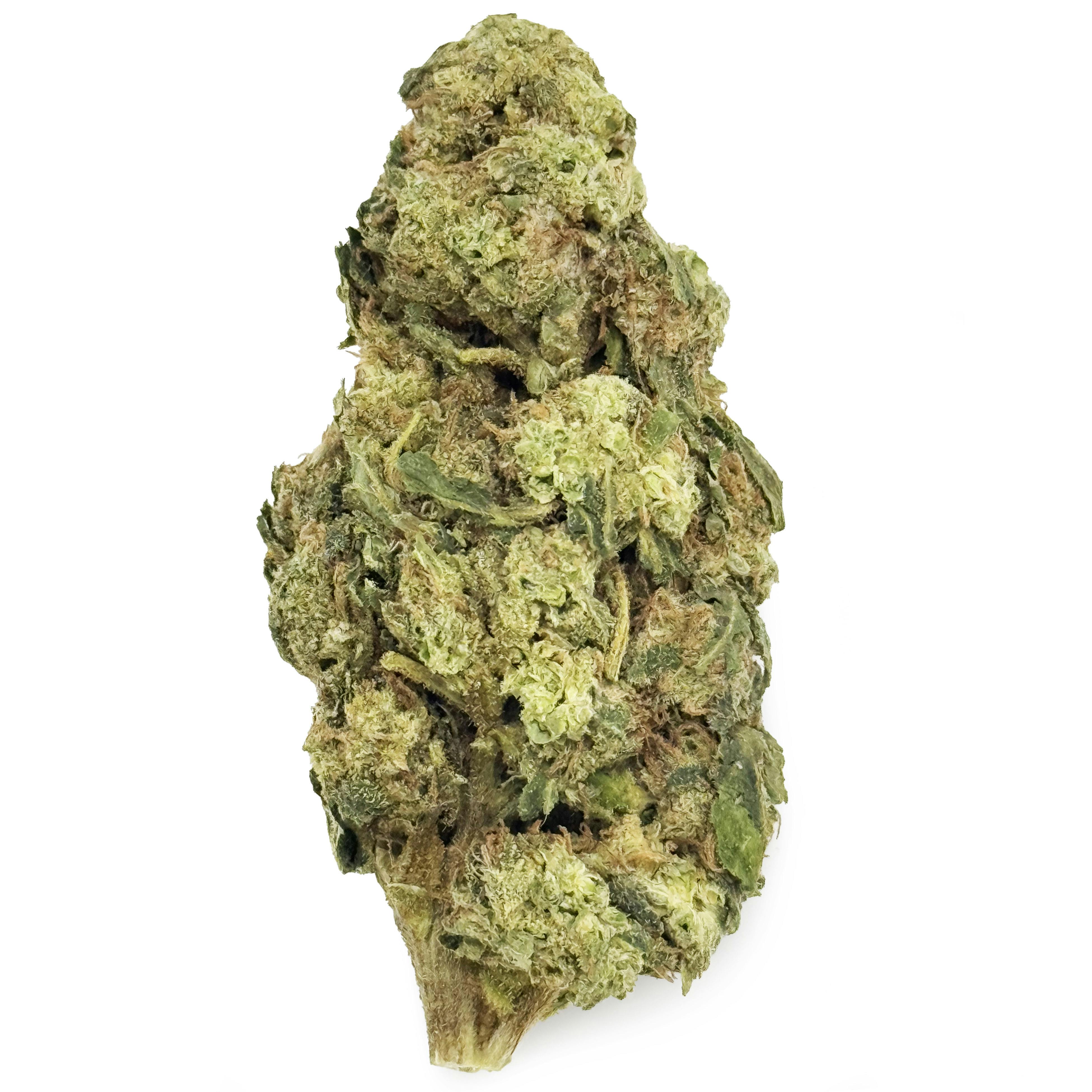 OG Farms - Bop Gun