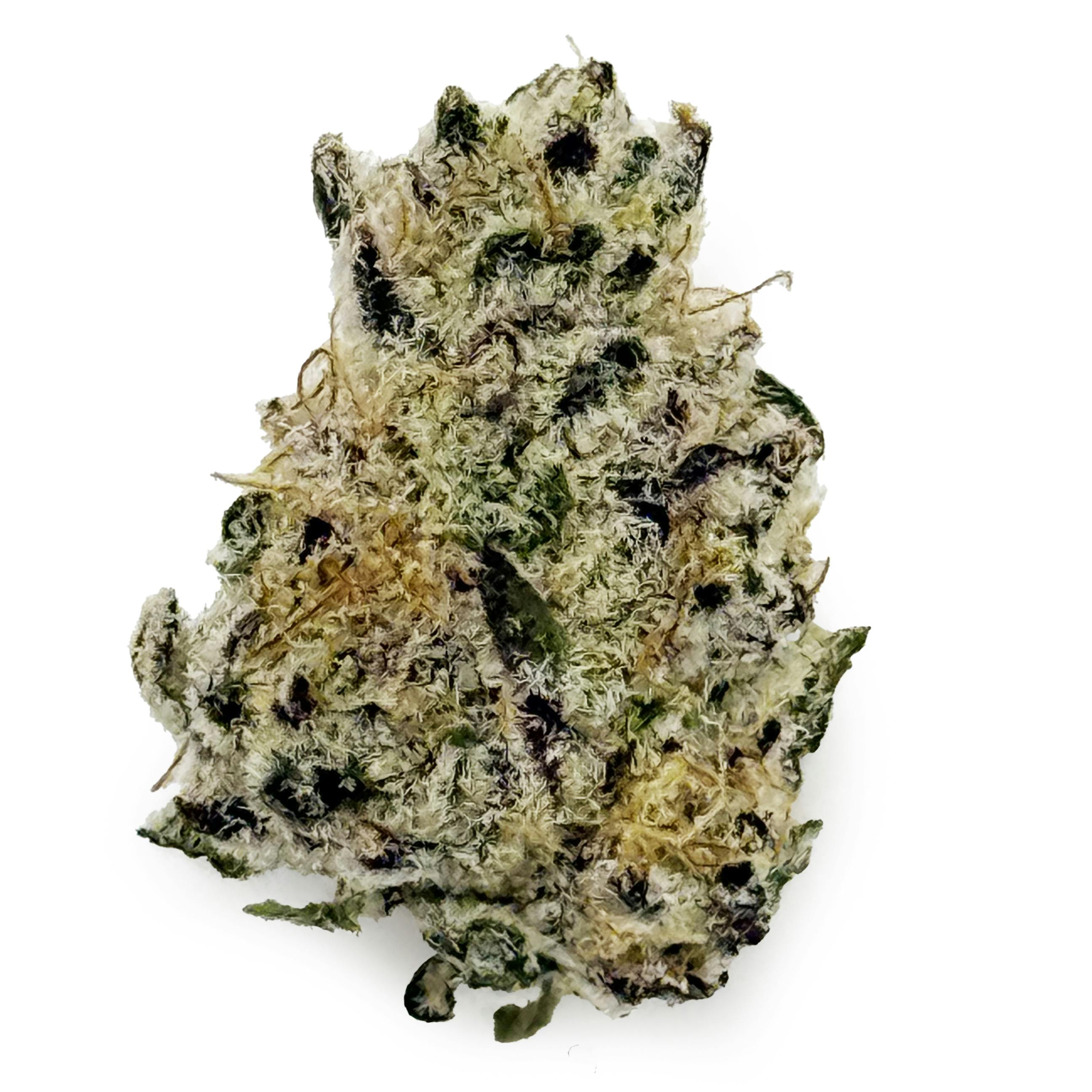 Vanilla Sunshine - John Truffolta "Smalls"