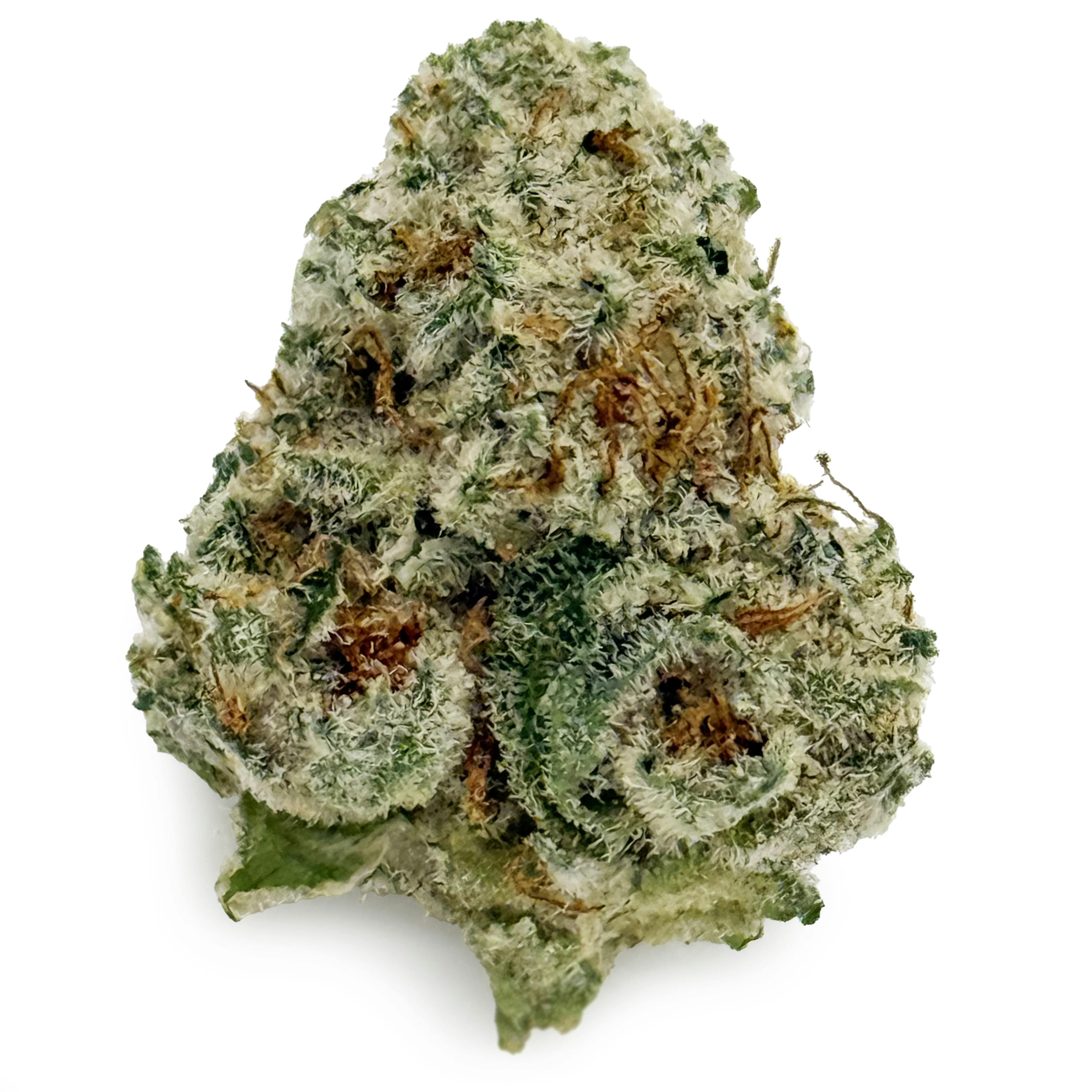 Glorious - Black Ice "Smalls" at Exclusive Brands - Muskegon