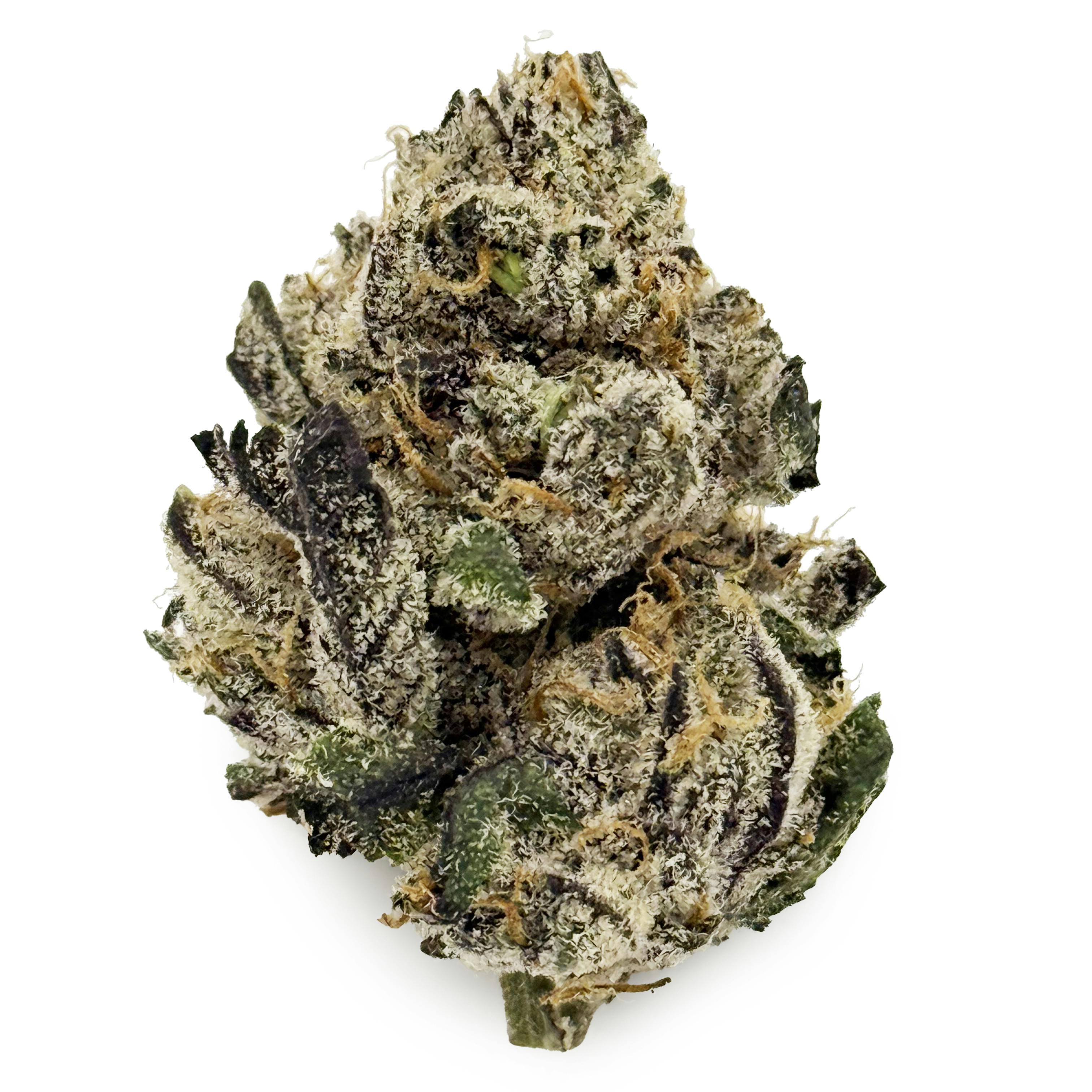 Pro Gro - Blue Nerdz cannabis product