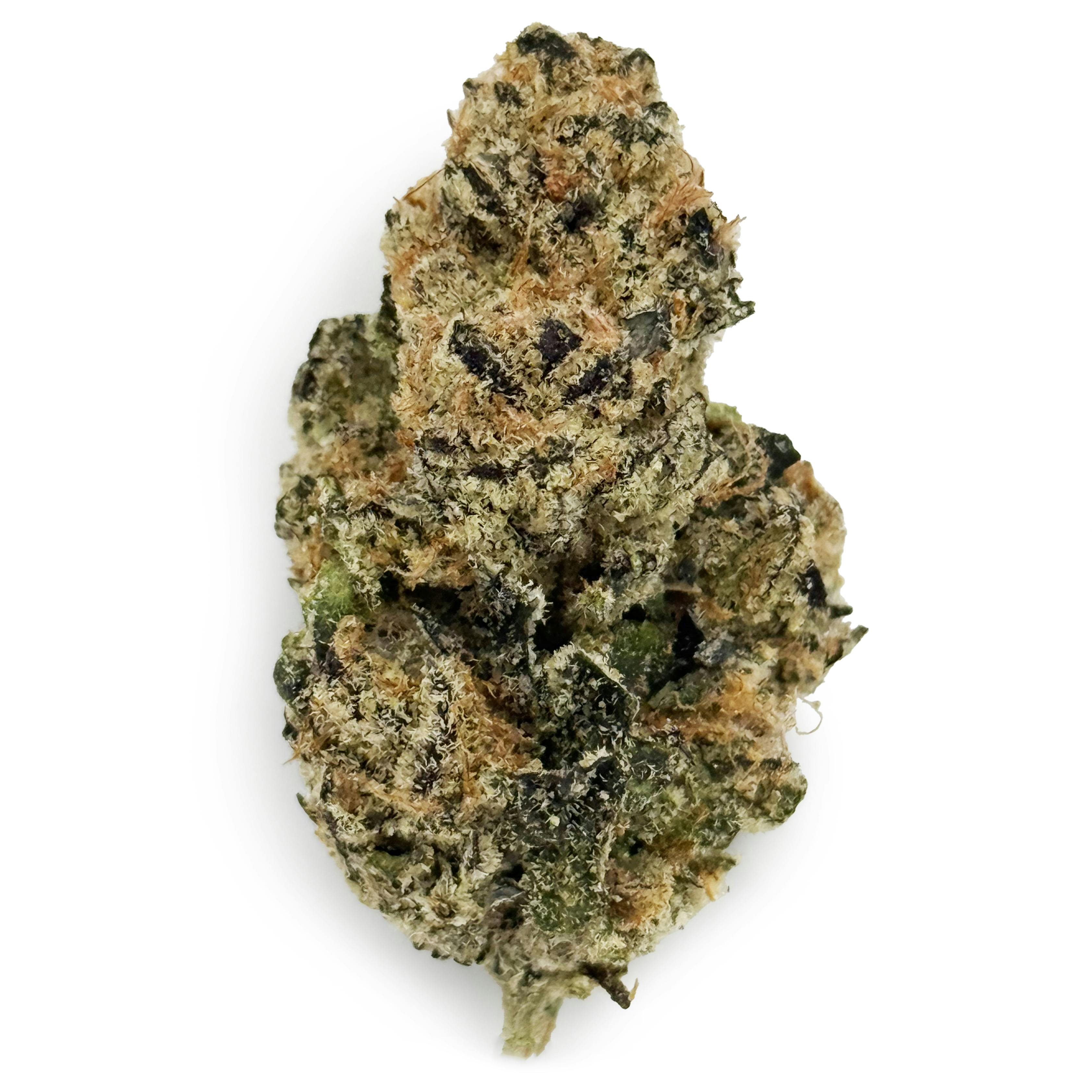 PharmaCann - Truffle Treats cannabis product