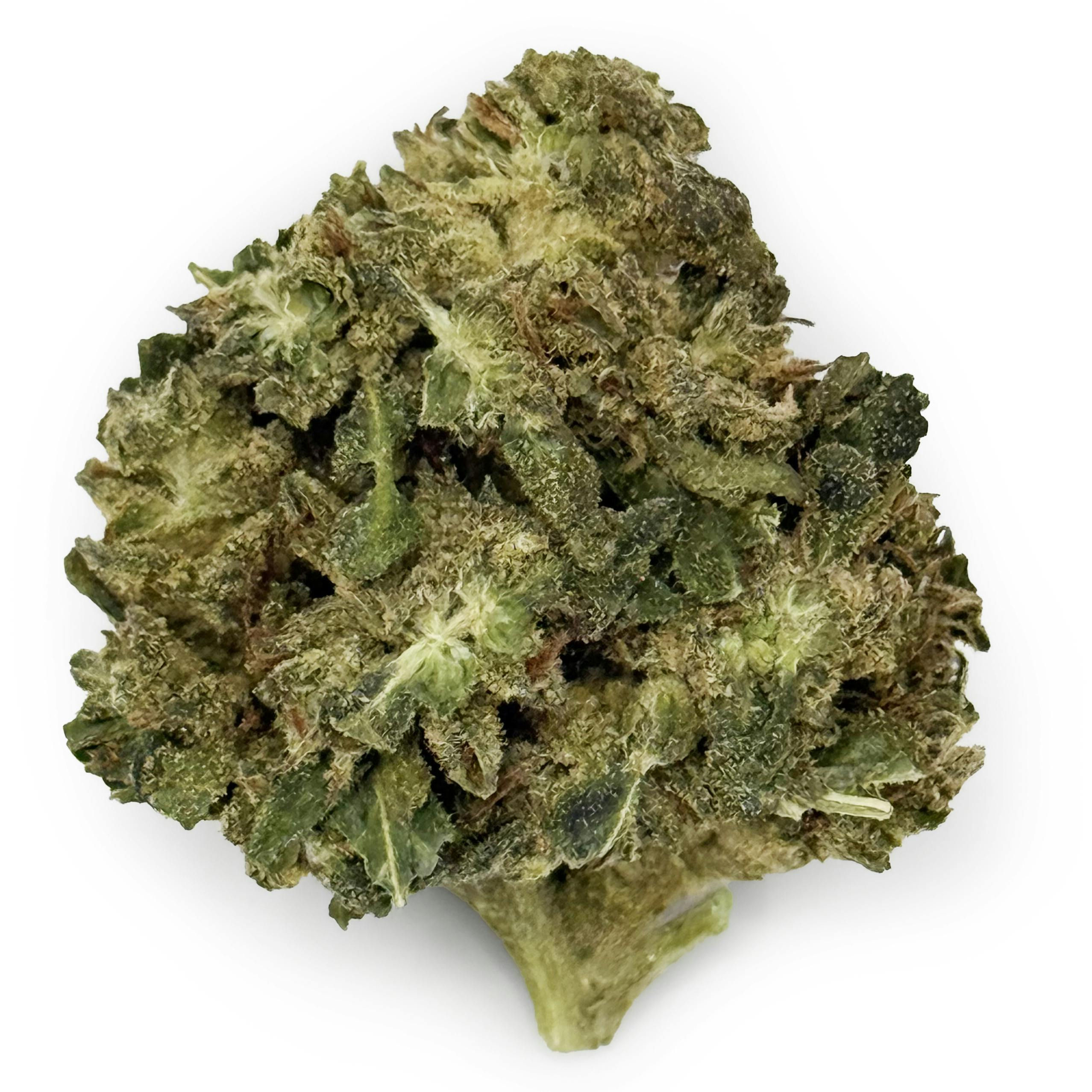OG Farms - Biscotti