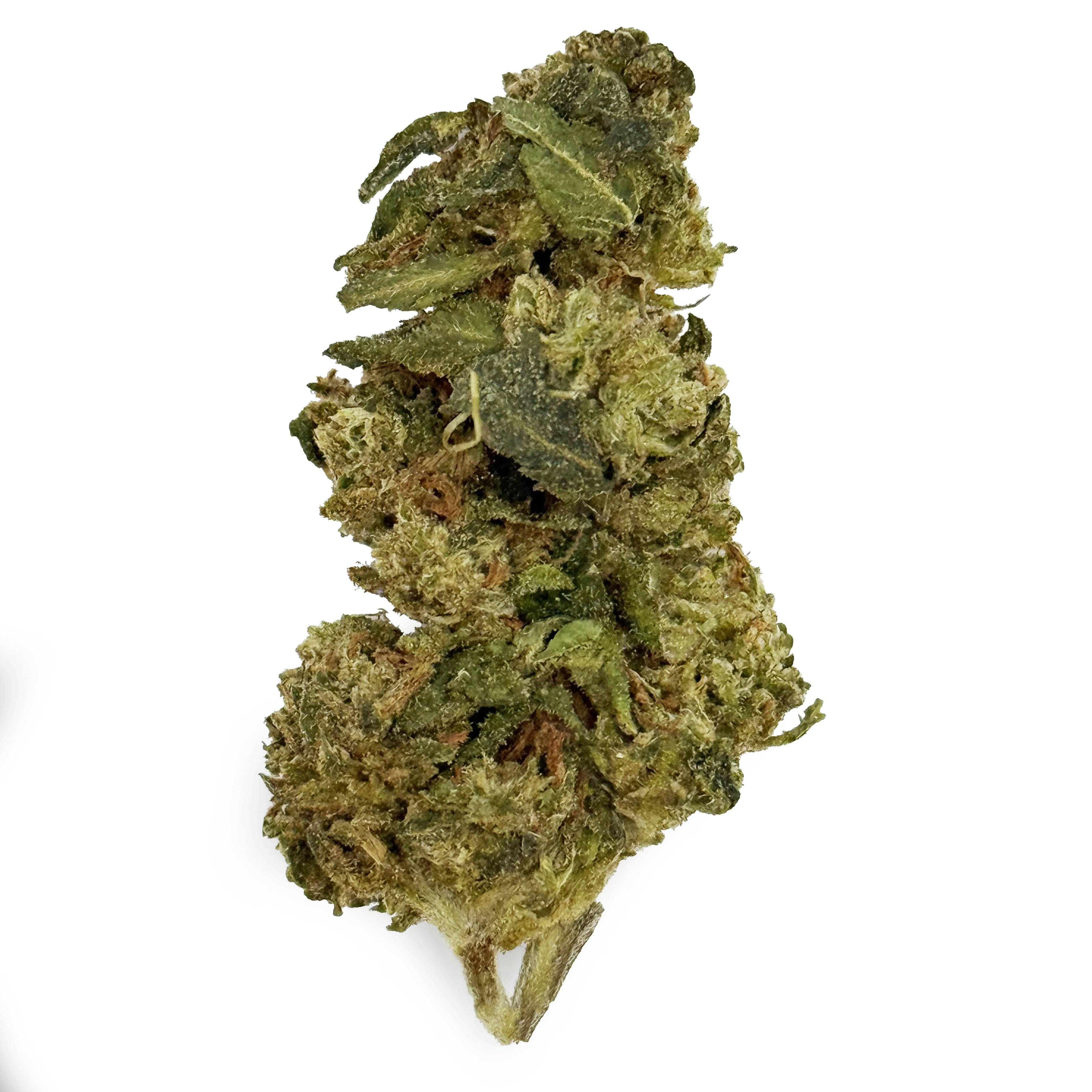 OG Farms - King Sherbert