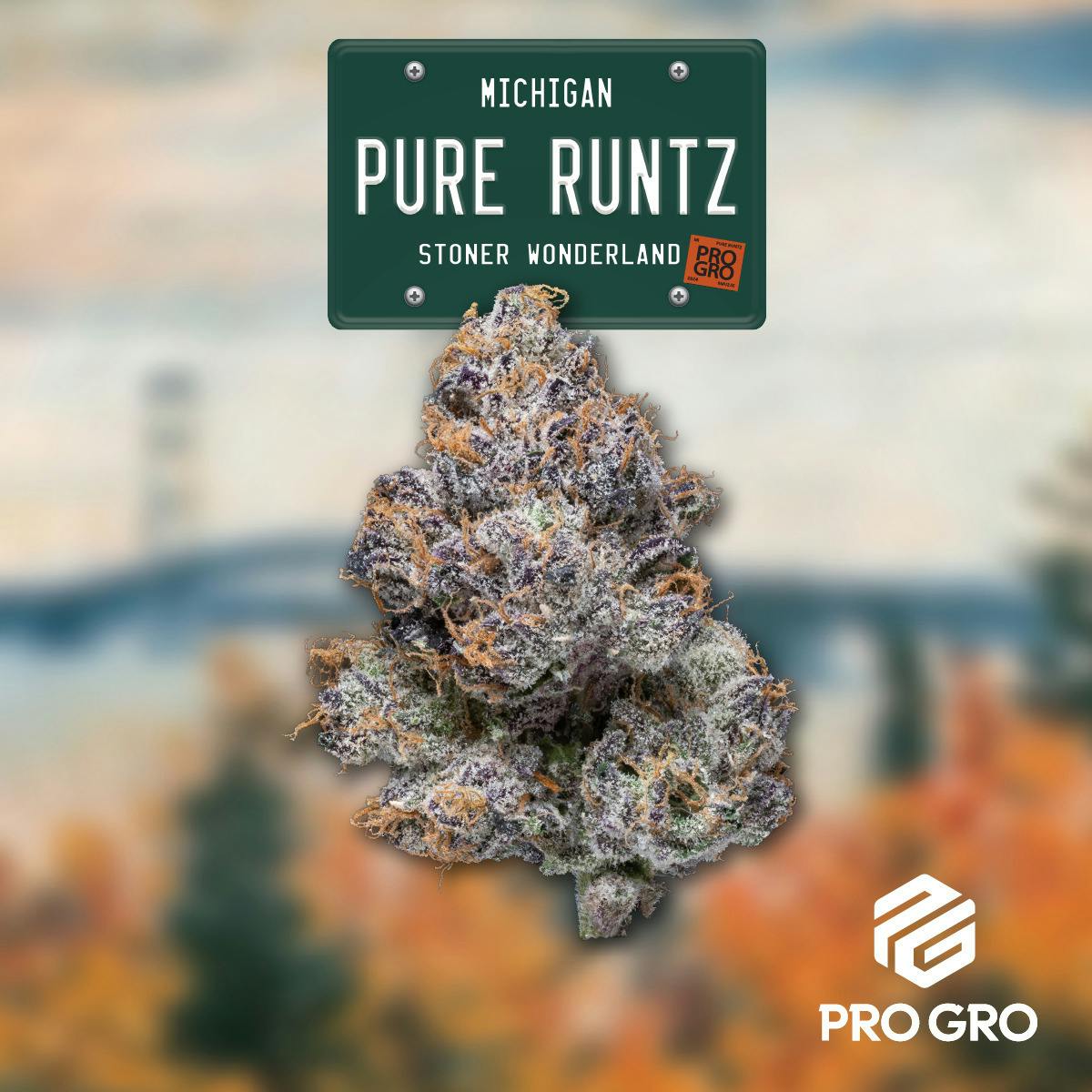 Pro Gro - Pure Runtz cannabis product