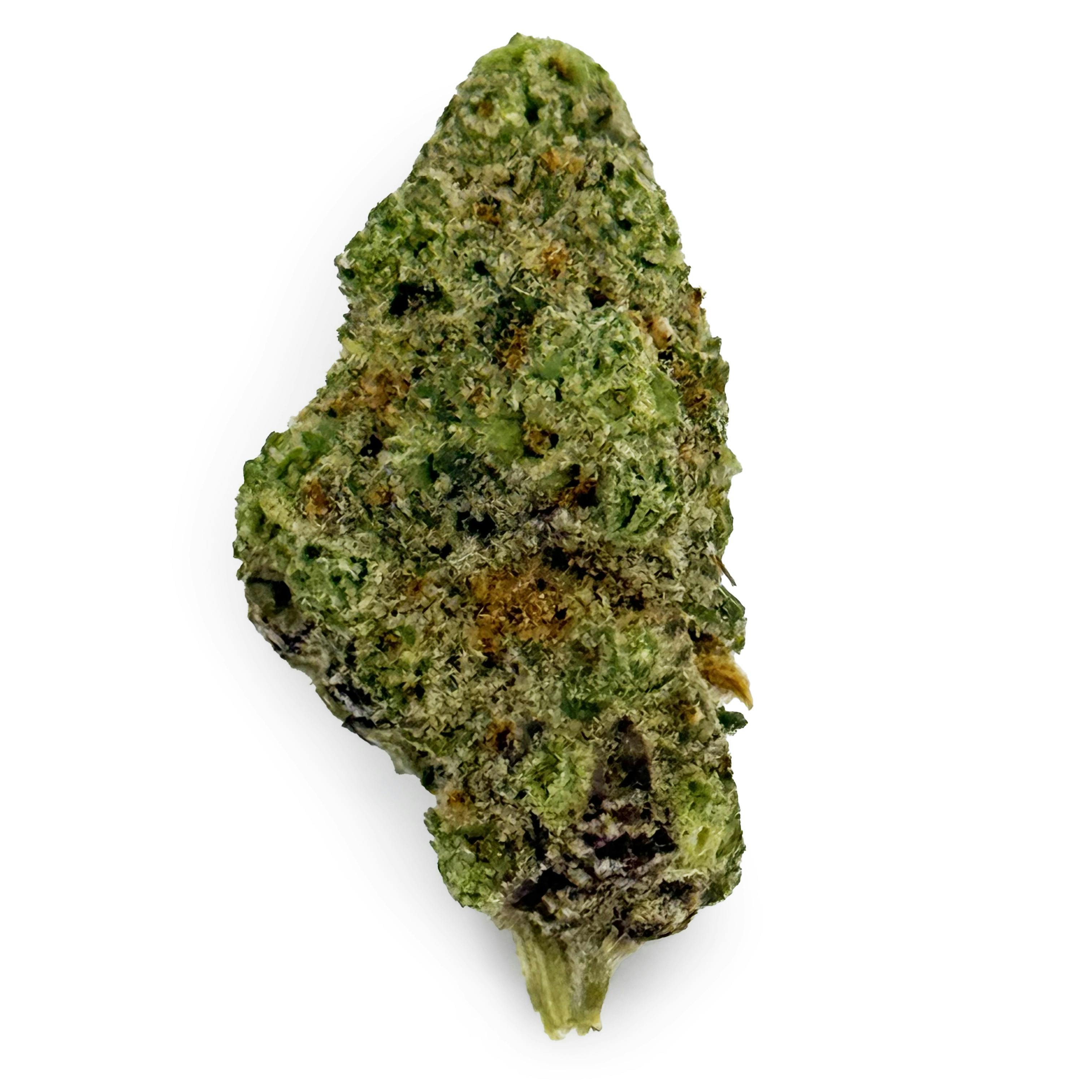 Levit8 - Tallymon "Smalls" at Exclusive Brands - Muskegon