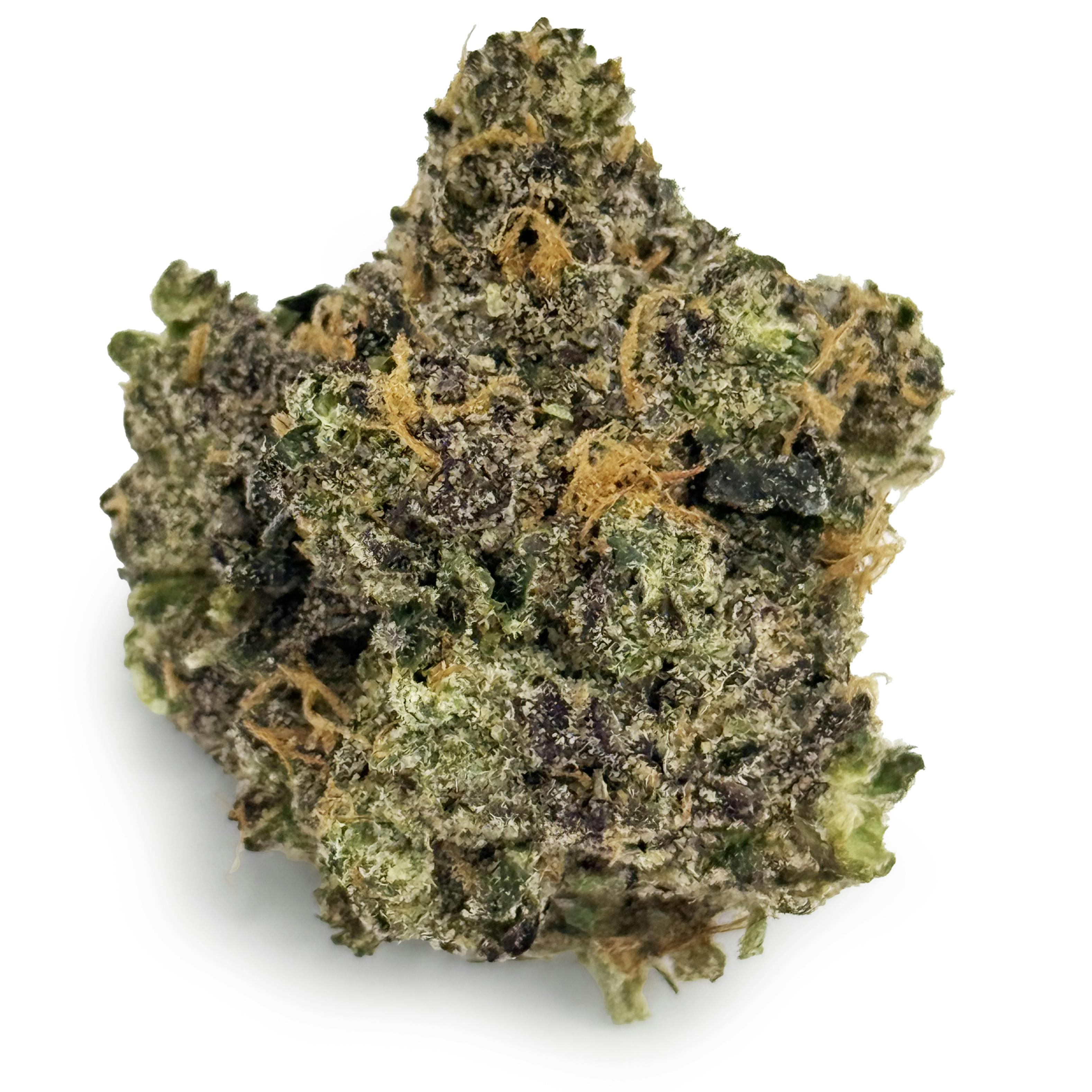 G High Joe - Purple Panties