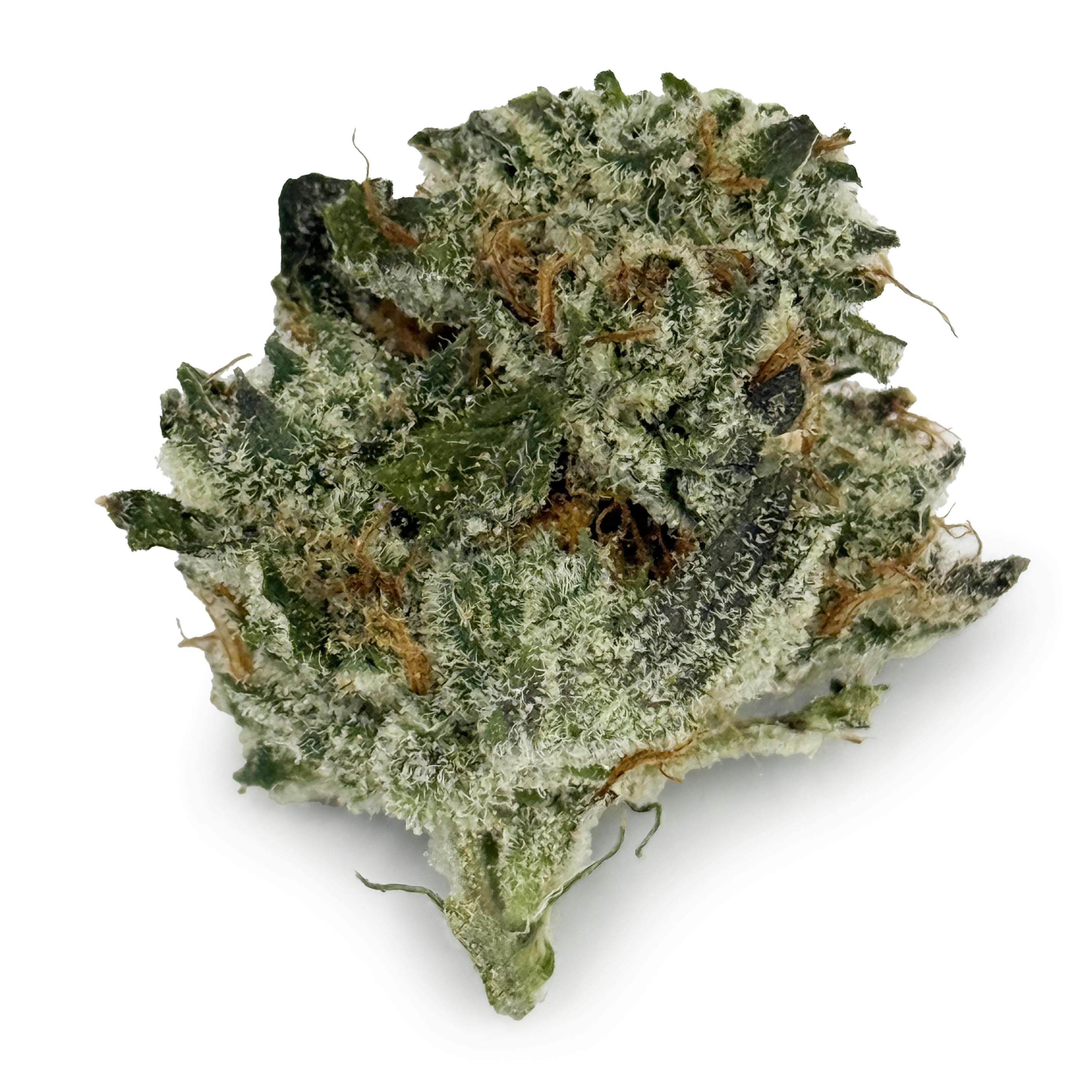 Six Labs - Truffle Cake cannabis product