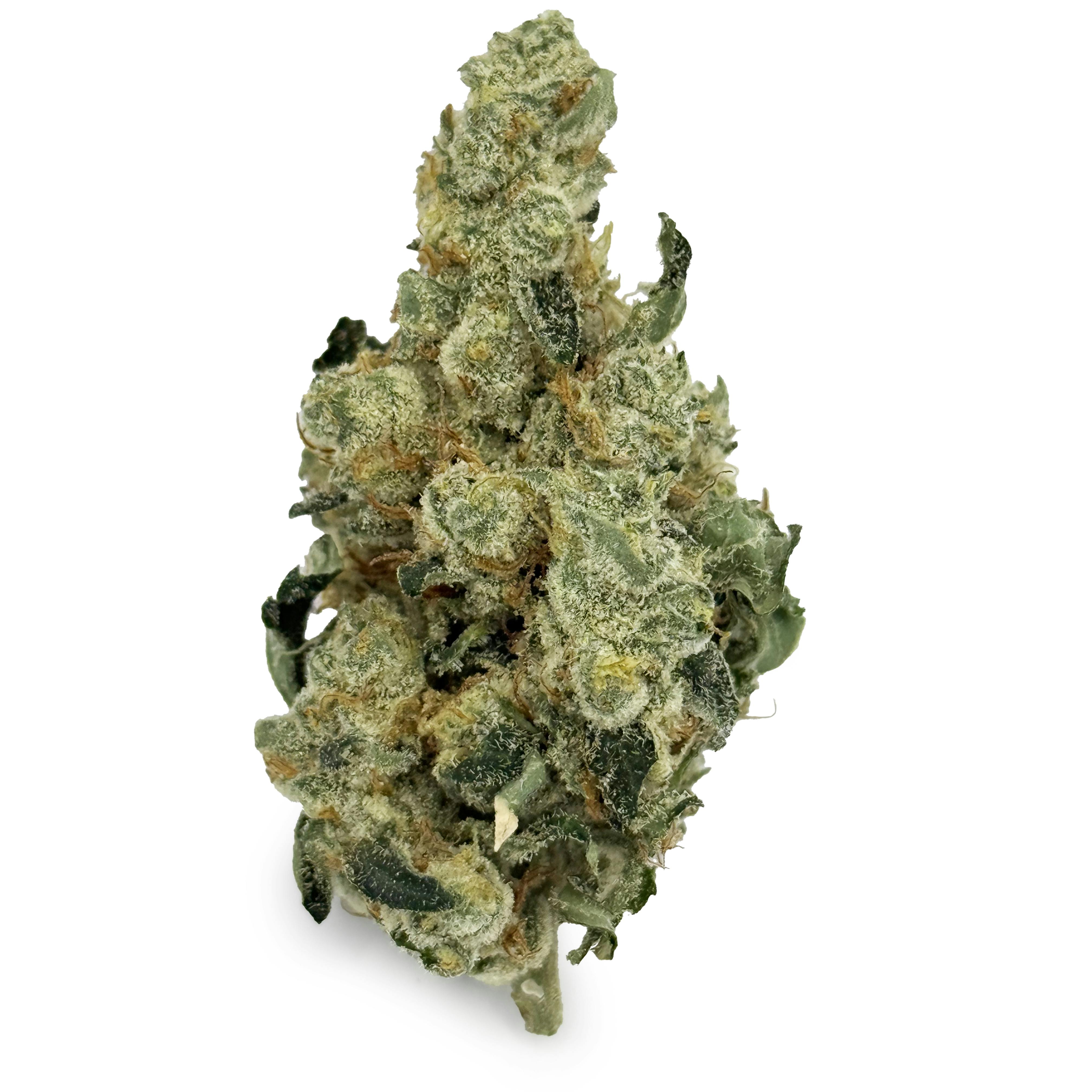 Sal's Weed - Grease Bucket "Smalls" cannabis product