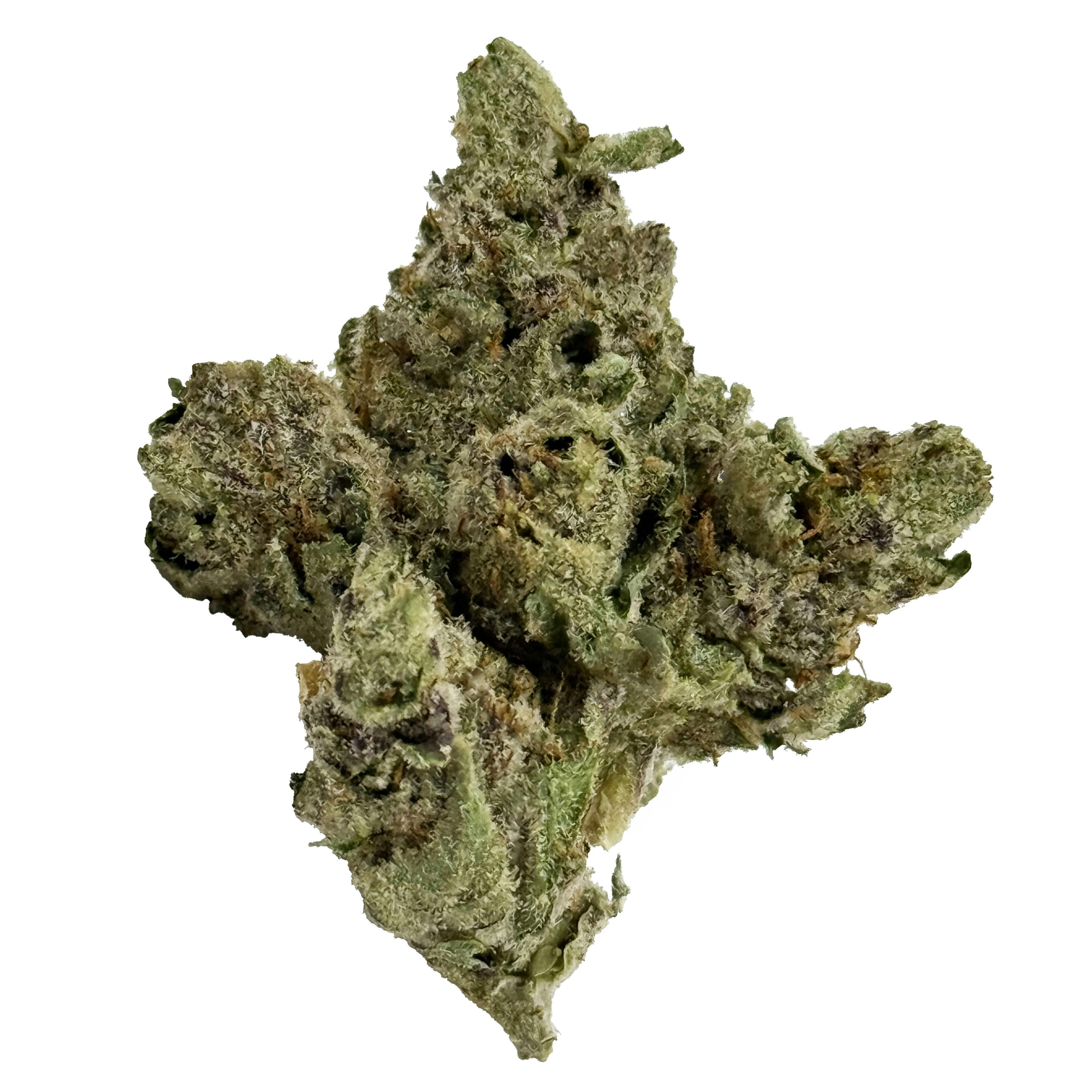 Smoke Good - Gel Cat