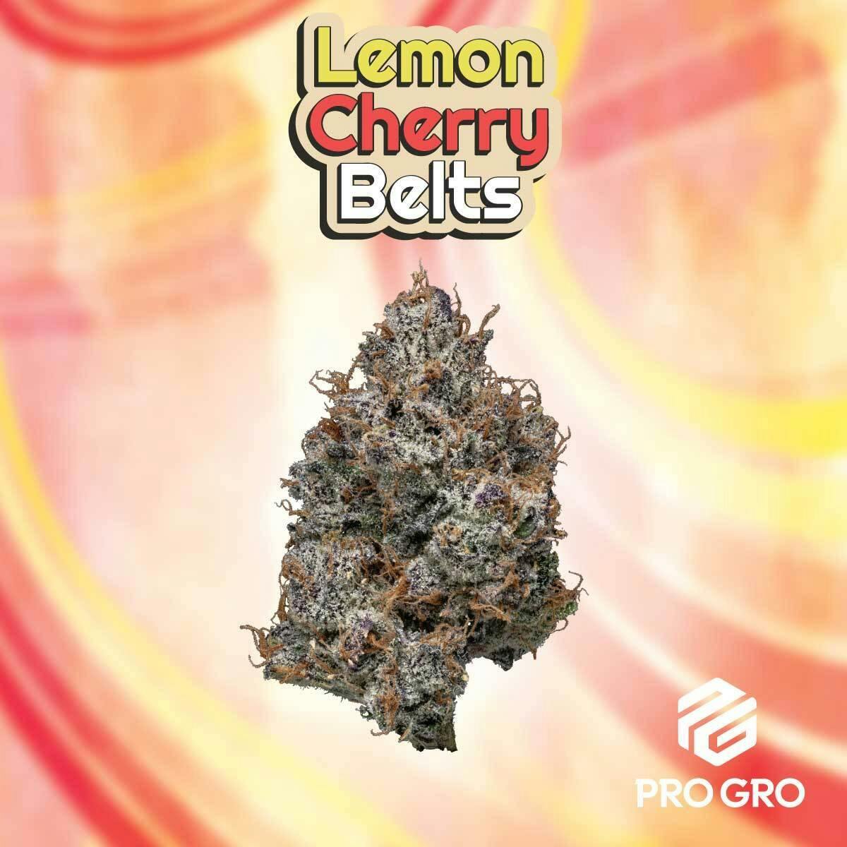 Pro Gro - Lemon Cherry Beltz cannabis product