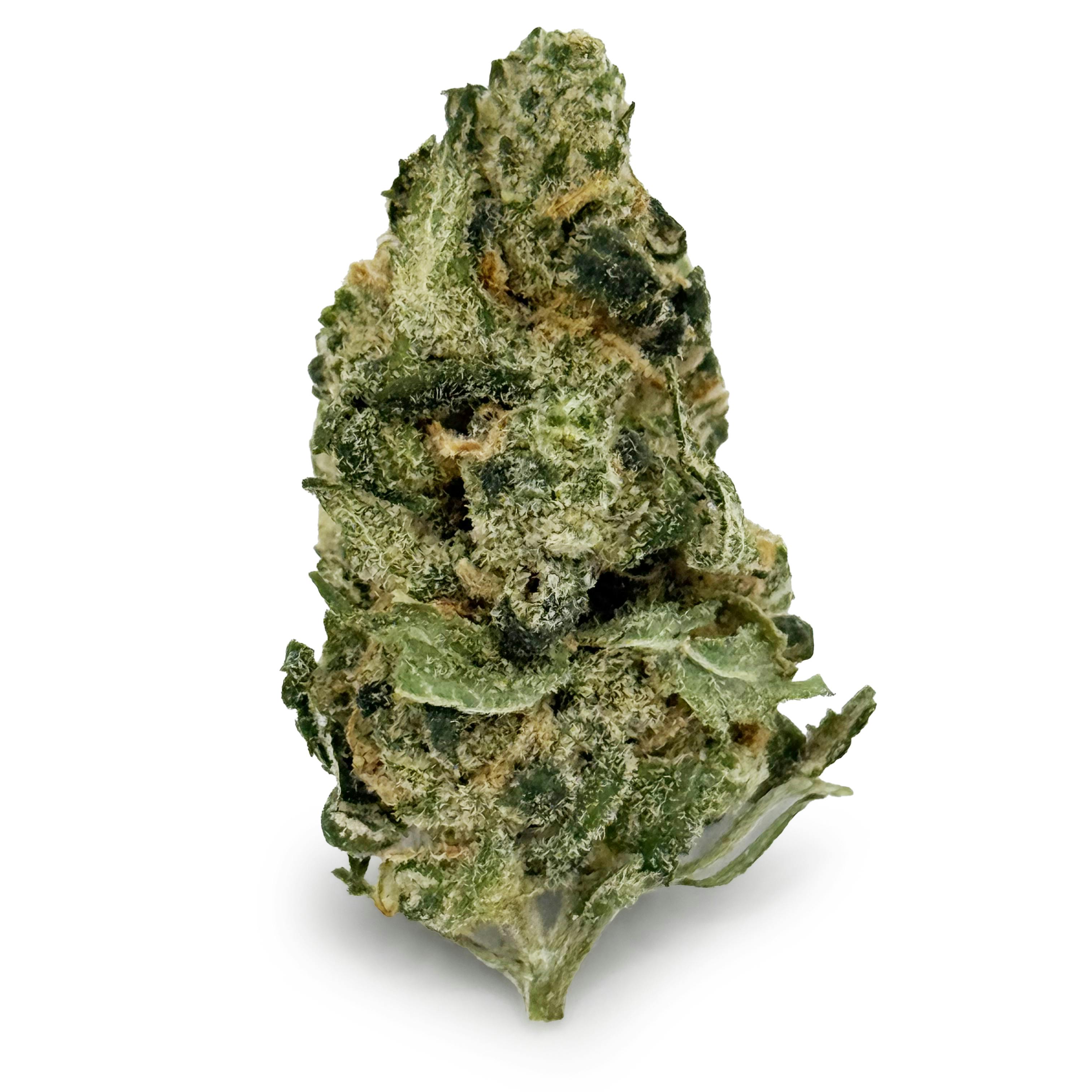 Levit8 - Blue Dream "Smalls" at Exclusive Brands - Muskegon