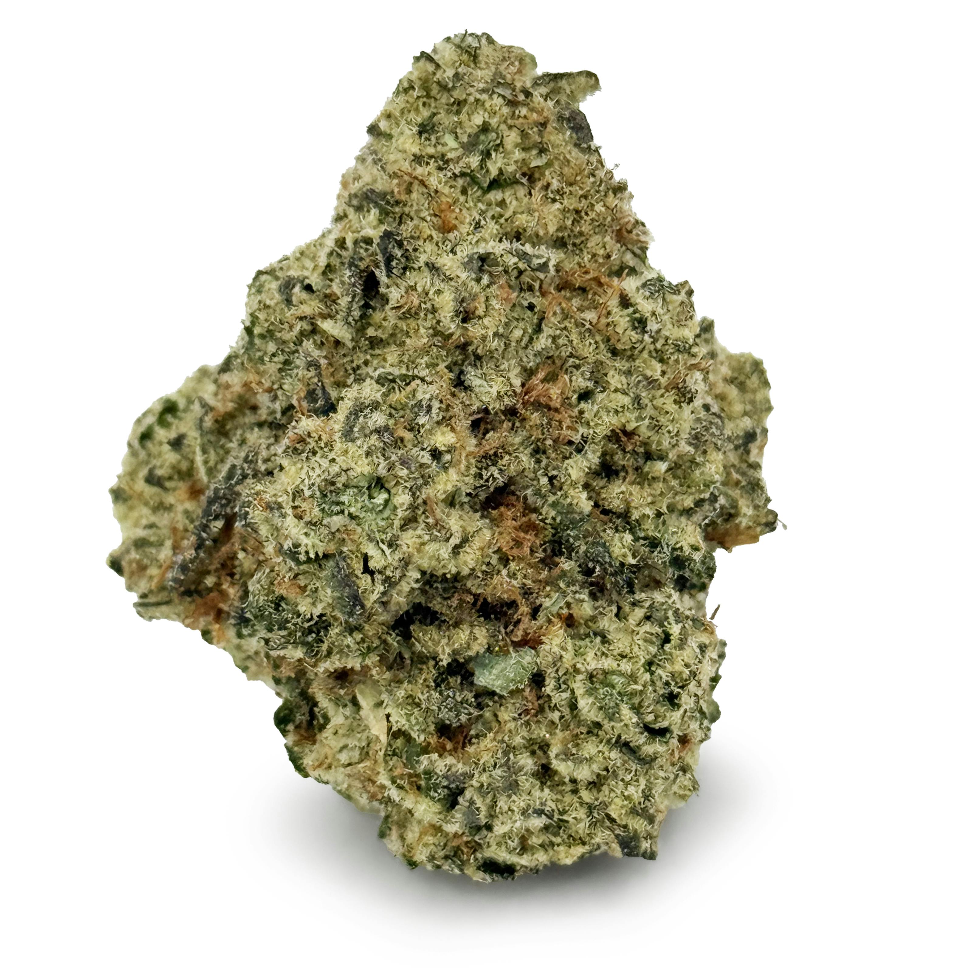 Intrinsic - El Chupacabra "Smalls"