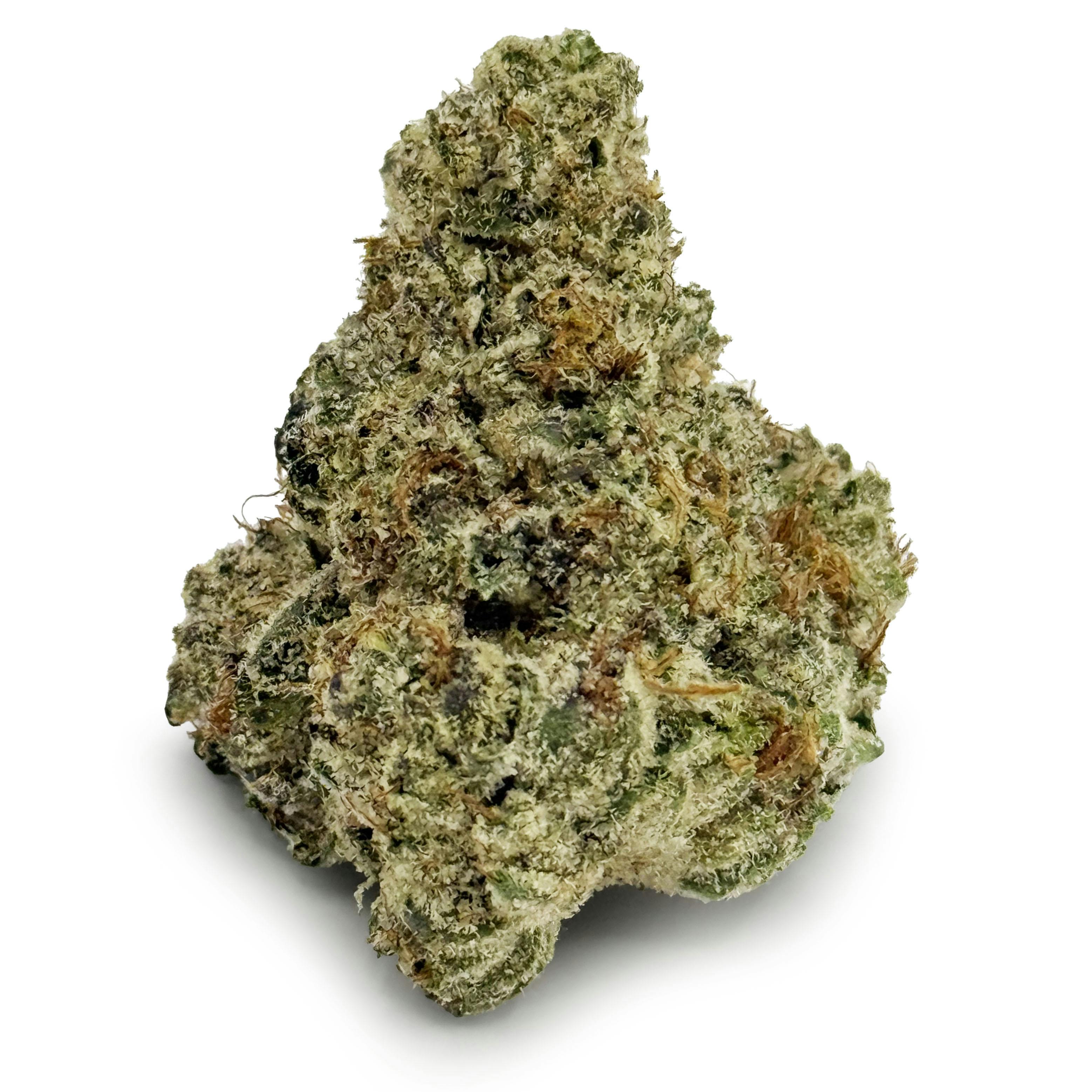 Common Citizen - Sugar Breath