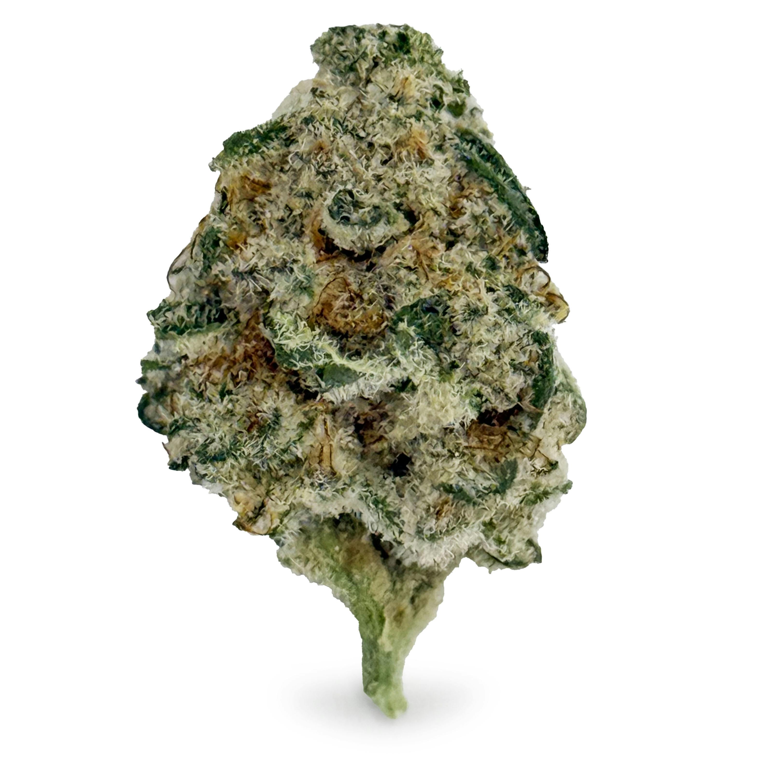 One Garden - Apple Mac "Smalls"