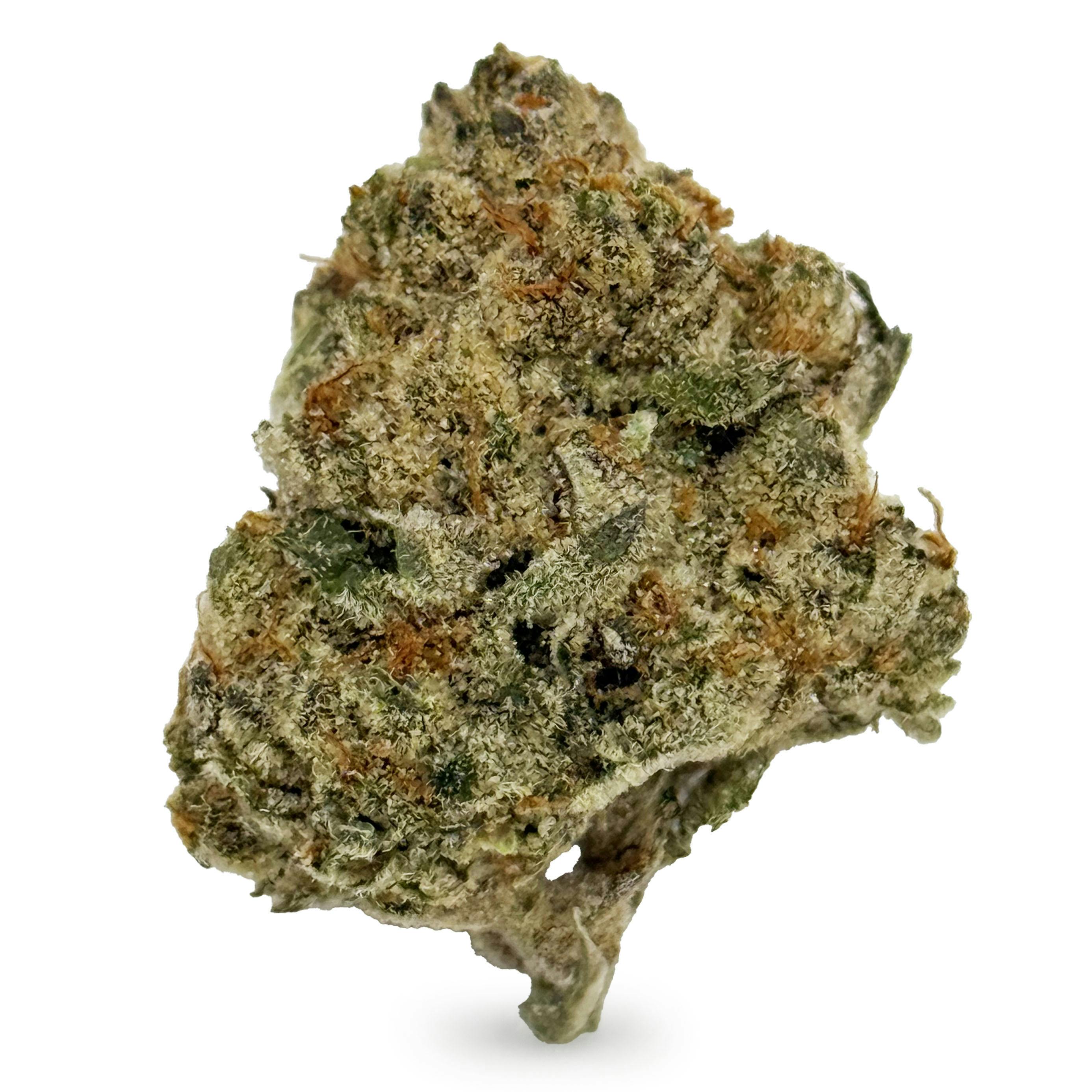 One Garden - Molotov Cocktail