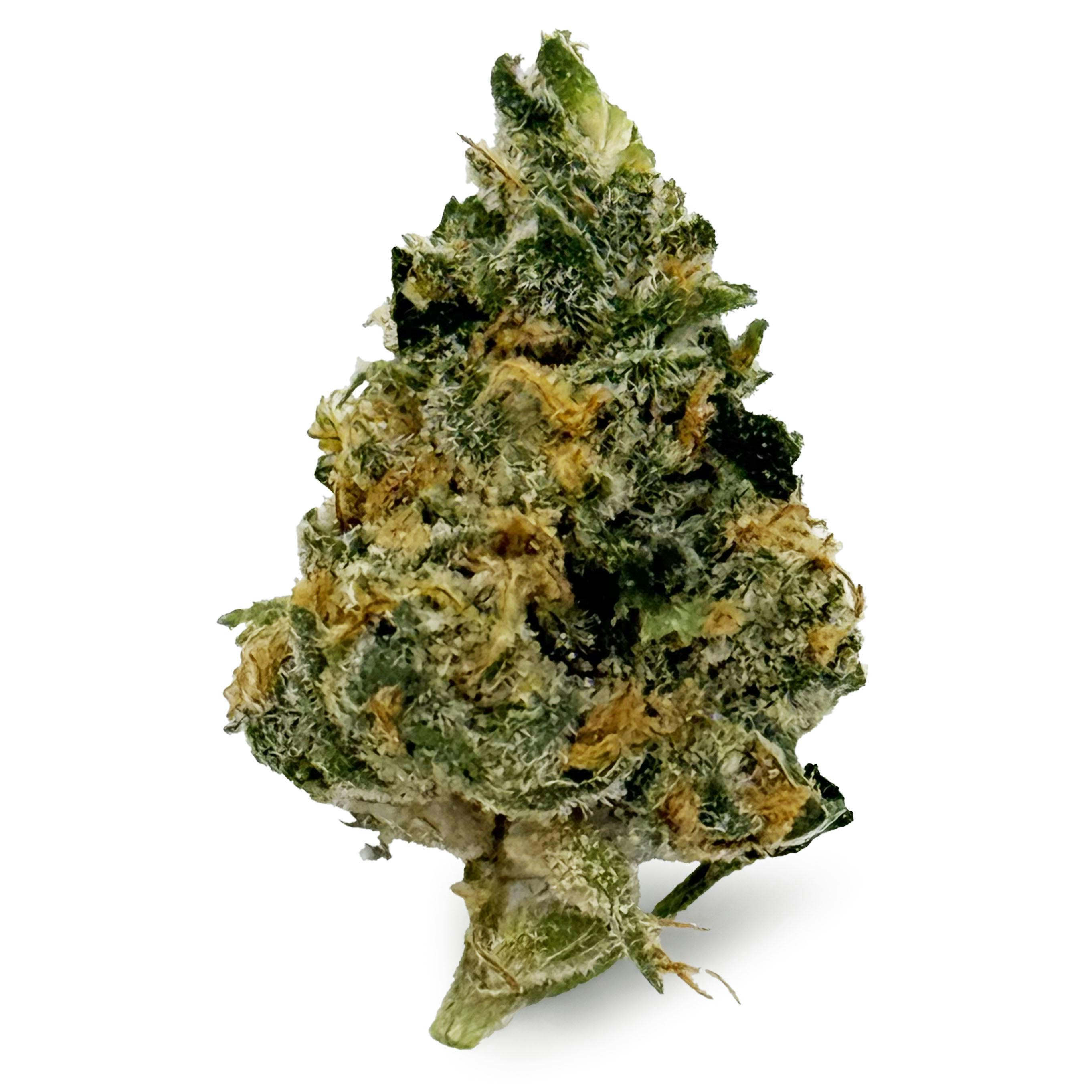 One Garden - Blue Dream "Smalls"
