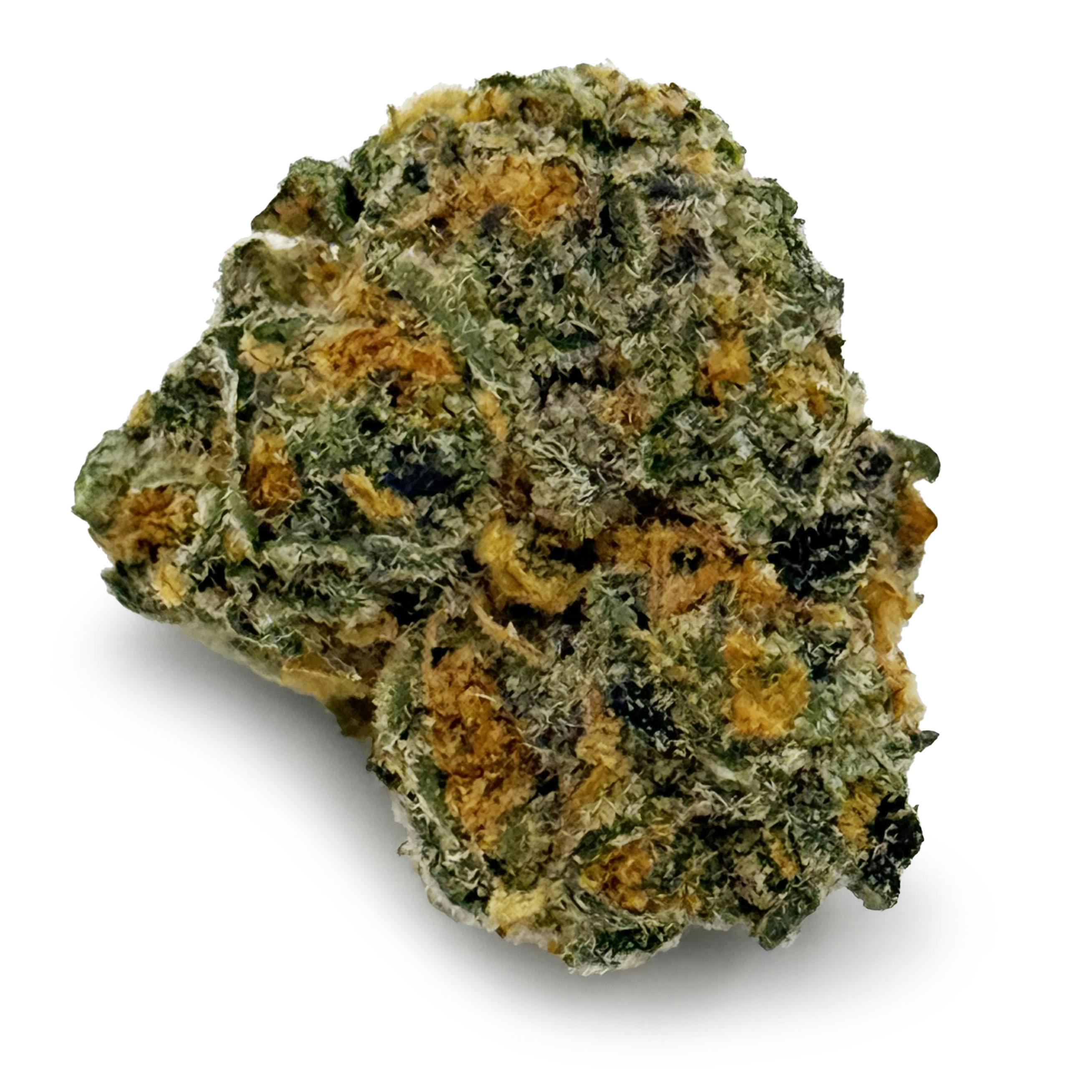 One Garden - High Society "Smalls"