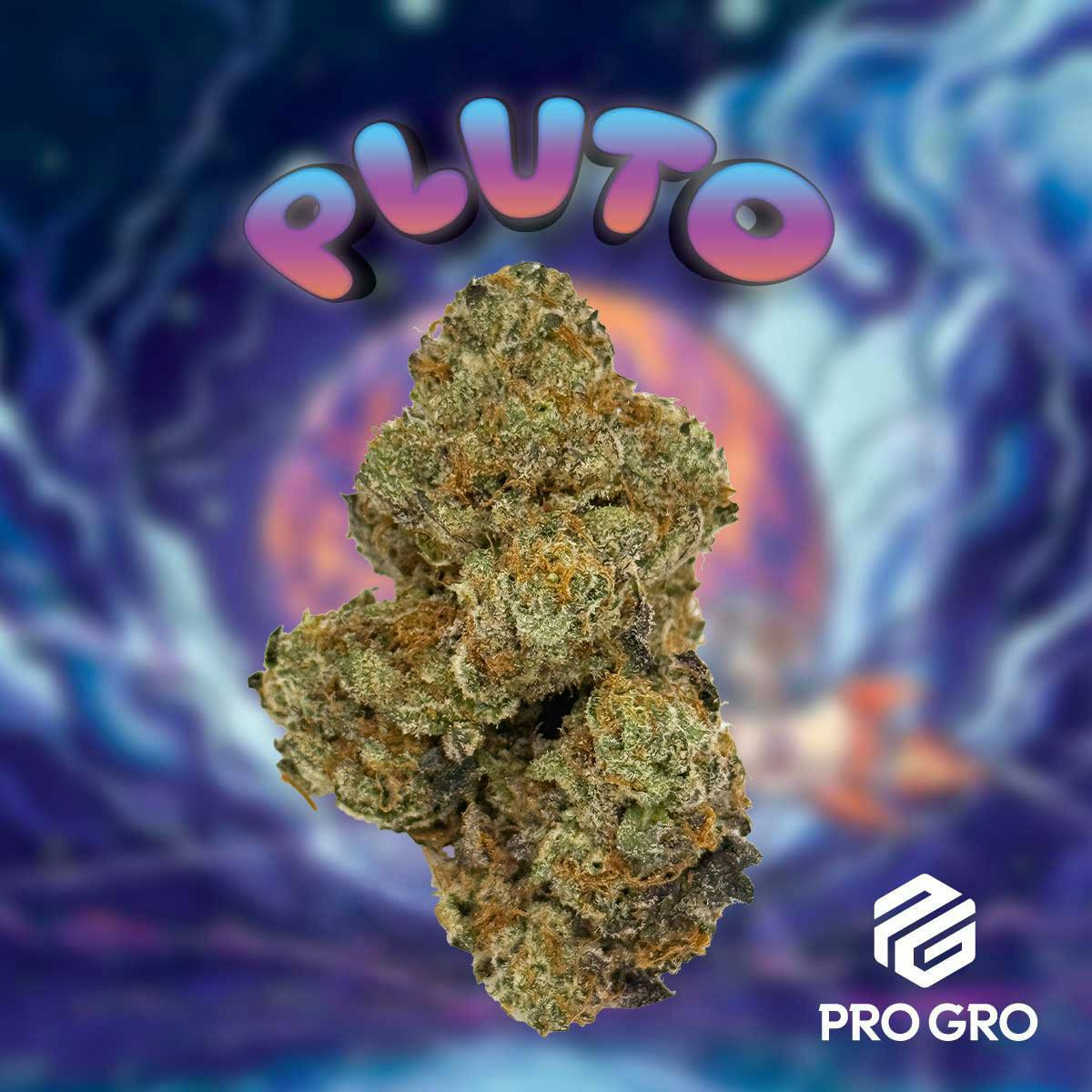 Pro Gro - Pluto