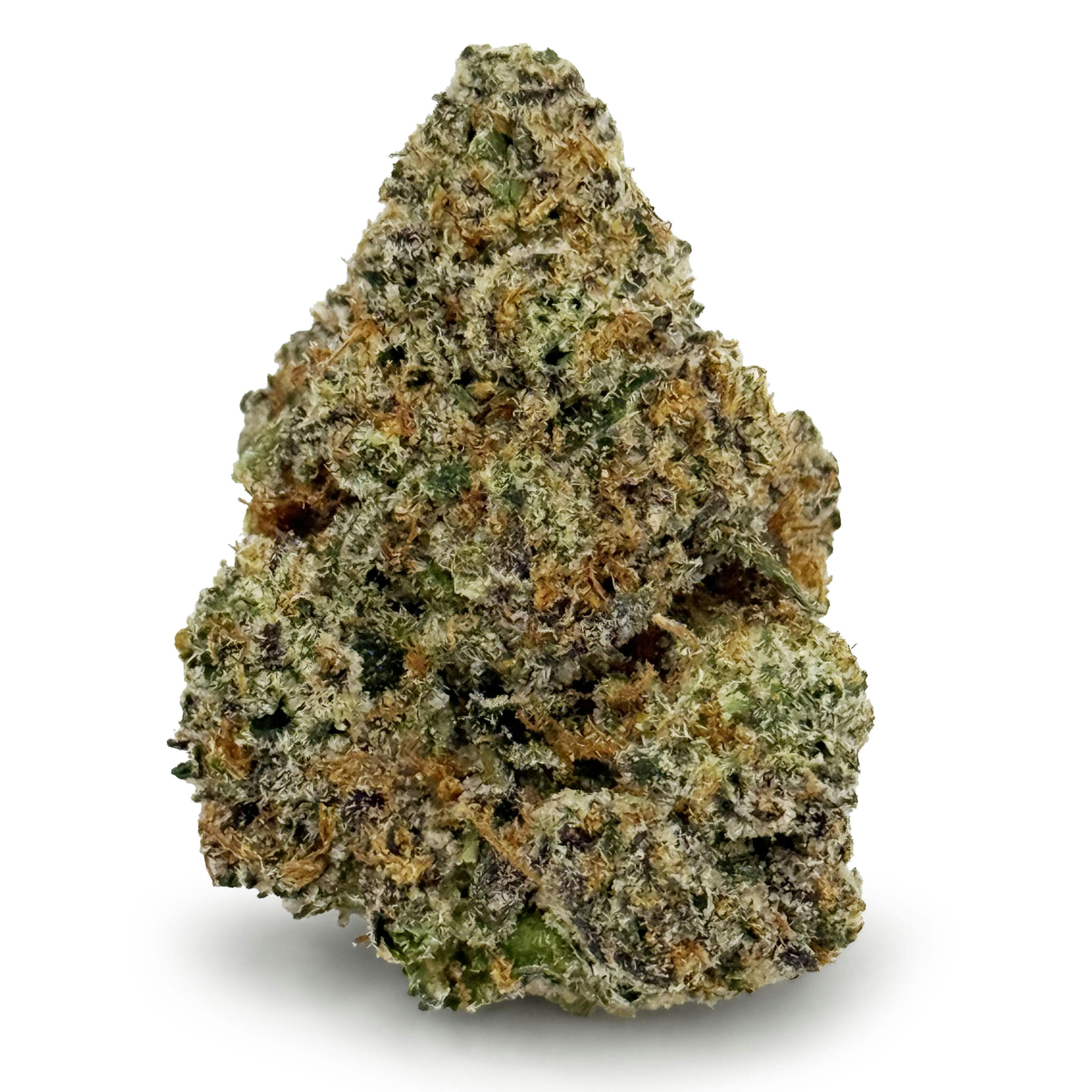 Six Labs - Blue Nerdz