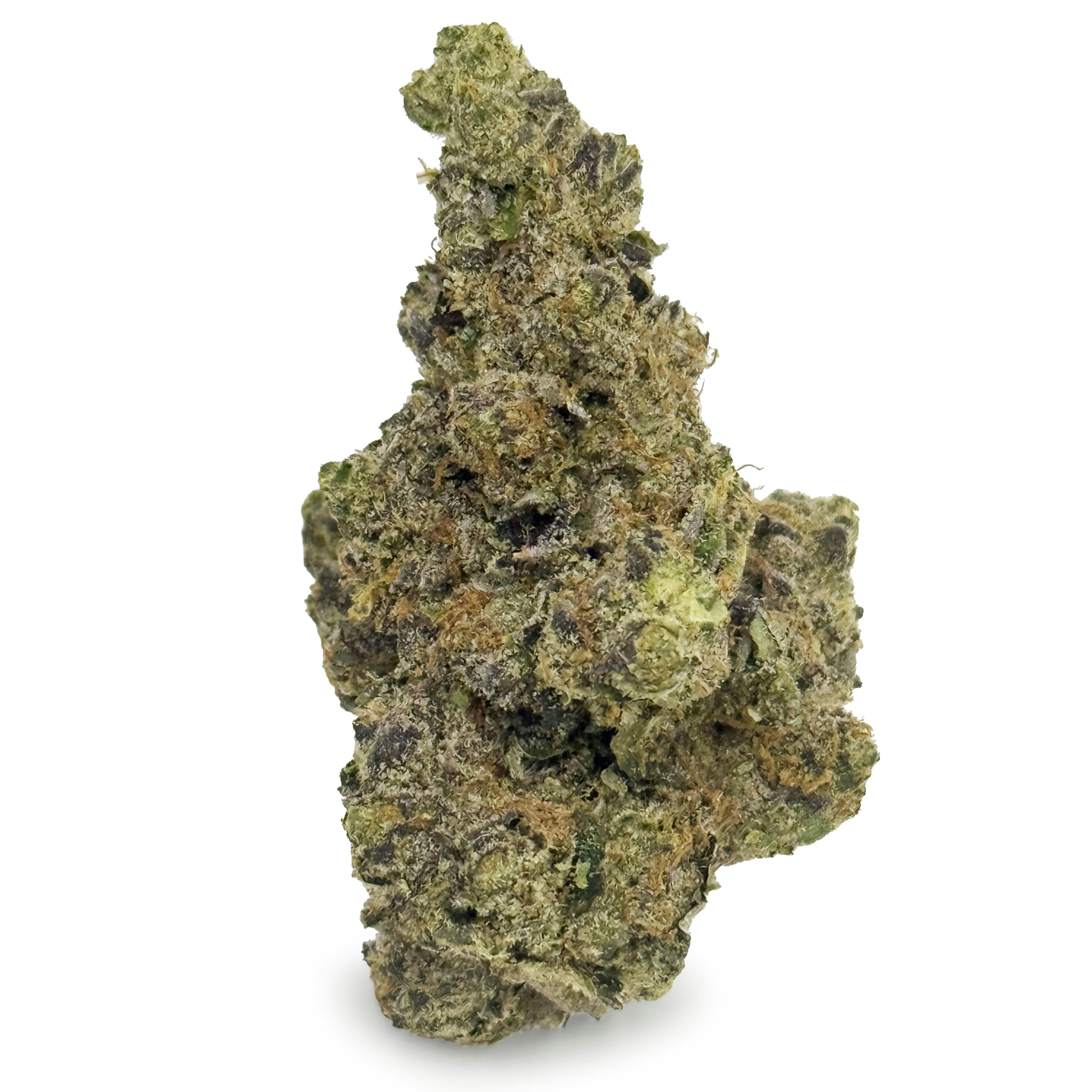 G High Joe - Black Caviar
