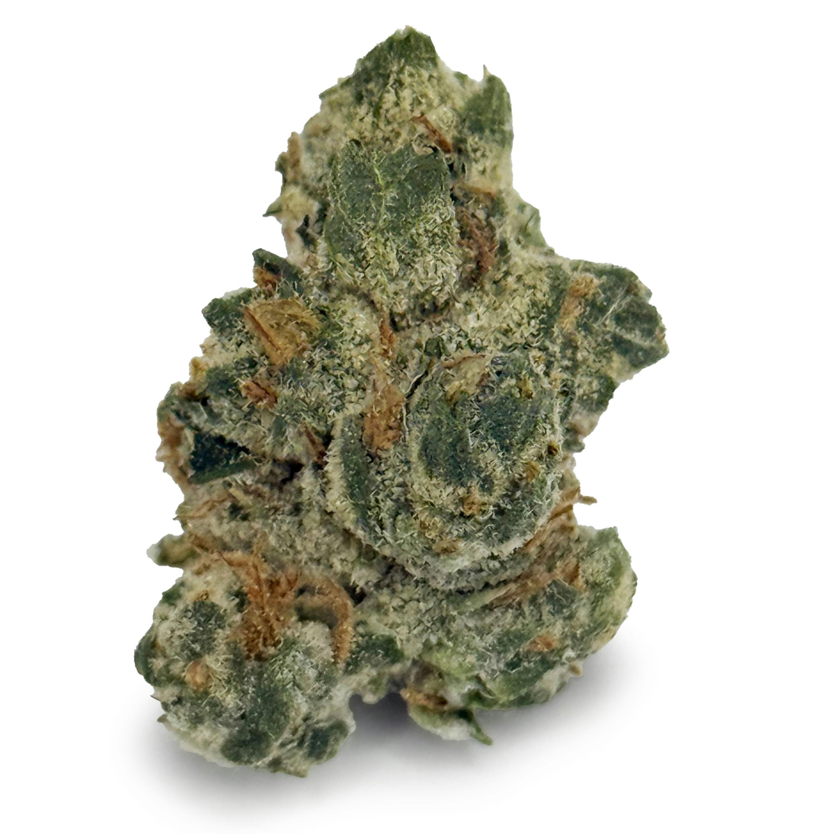 Six Labs - Grease Bucket "Smalls"