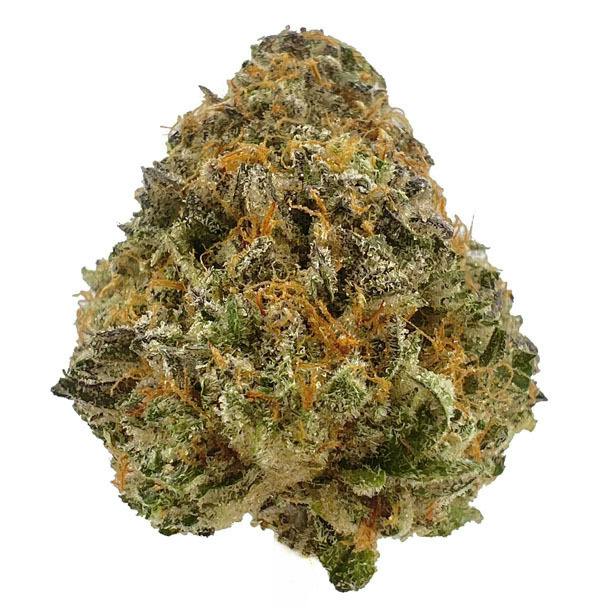 Voyage Bloom - 3.5g Prepack - Zangria