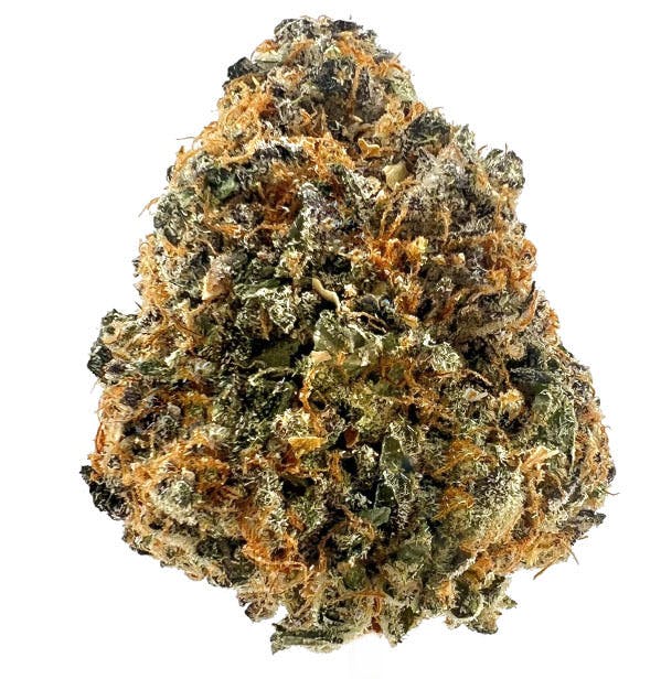 Voyage Bloom Greasi Lemon Prepack Rec