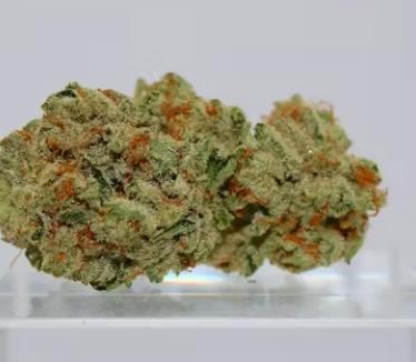 Milk and Cookies (Indica)