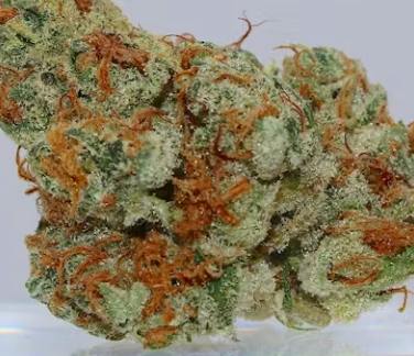 (REC) Blue Garlic (Sativa)