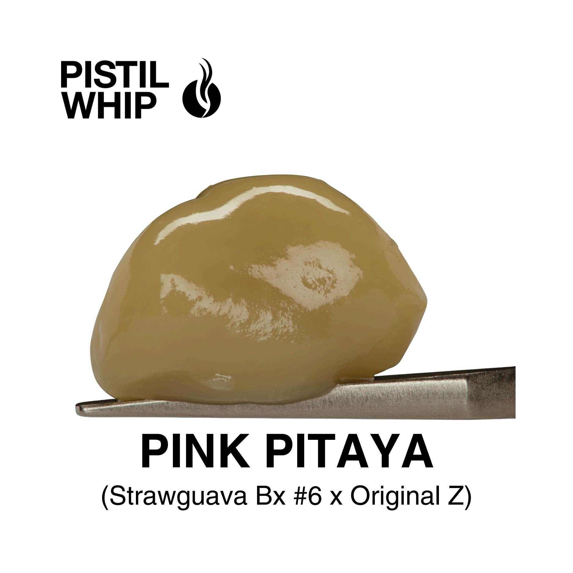 PISTIL WHIP - ROSIN BADDER - PINK PITAYA - 1G
