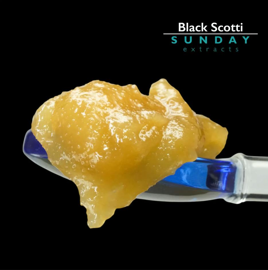 Black Scotti
