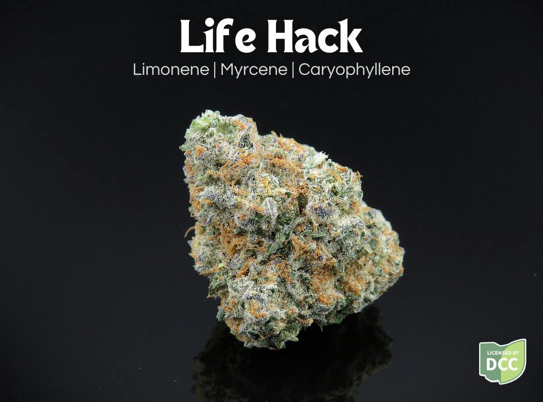 Life Hack 2.83g (Indica) | Farkas Farms