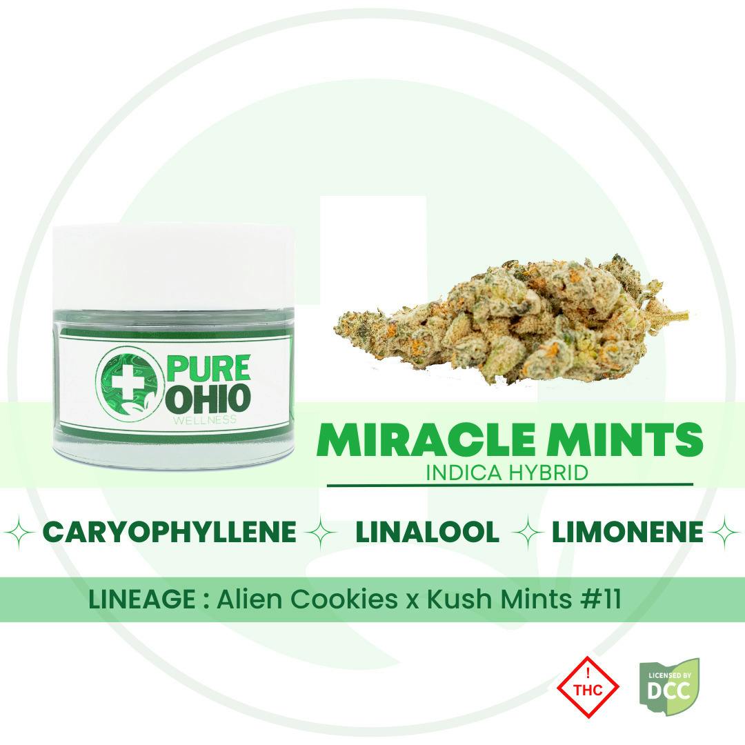 Miracle Mints 2.83g (Hybrid) | Pure Ohio Wellness