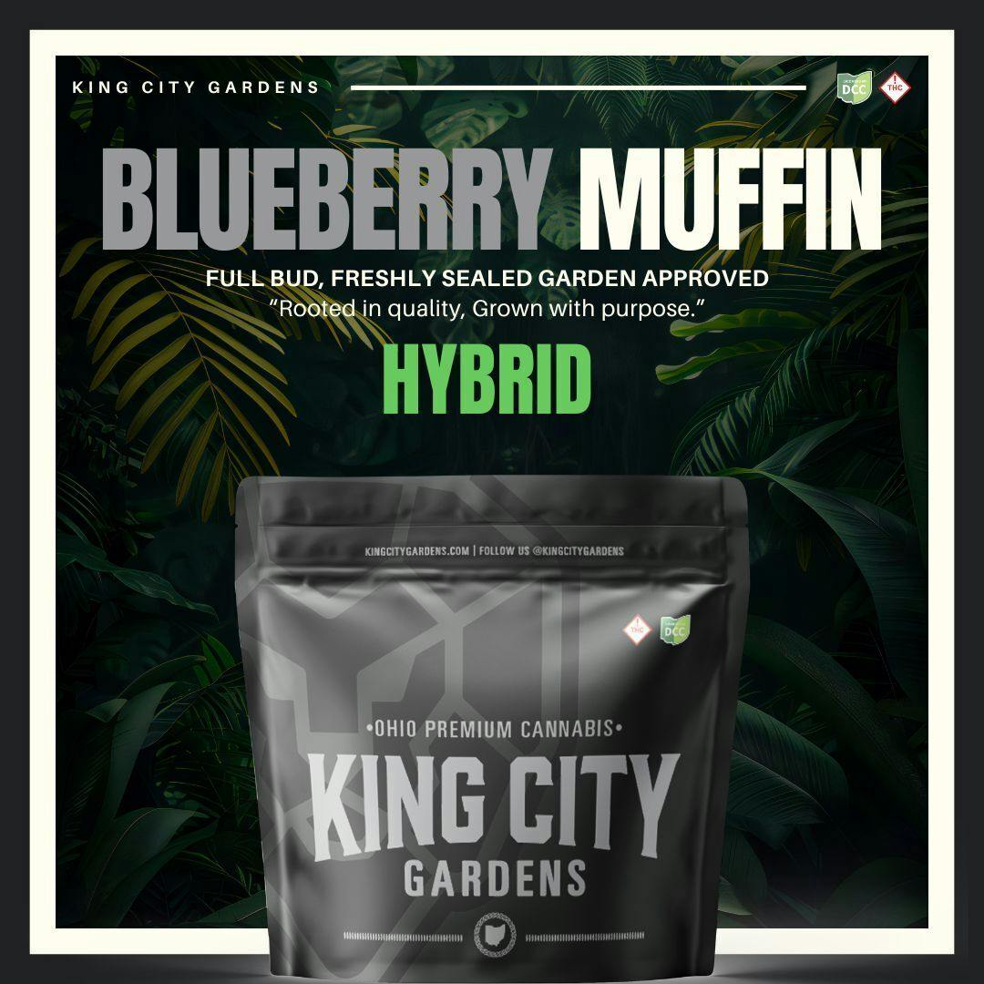 Blueberry Muffin Smalls 2.83g (Hybrid) | King City Gardens