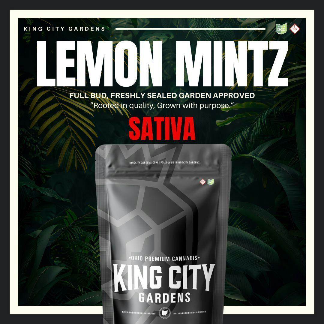 Lemon Mintz 14.15g (Sativa) | King City Gardens