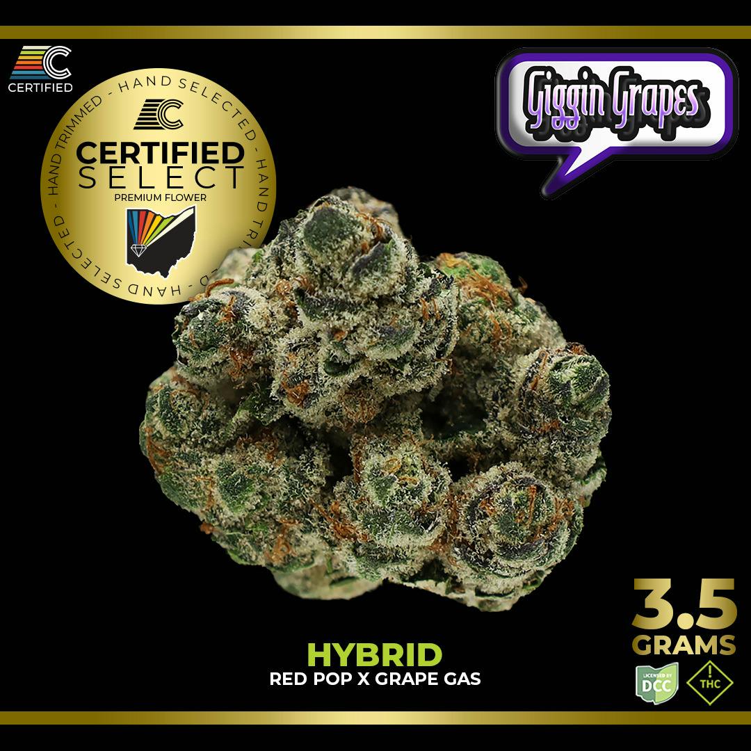 Giggin Grapes Select