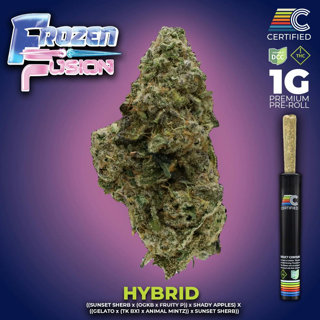 Frozen Fusion Pre Roll