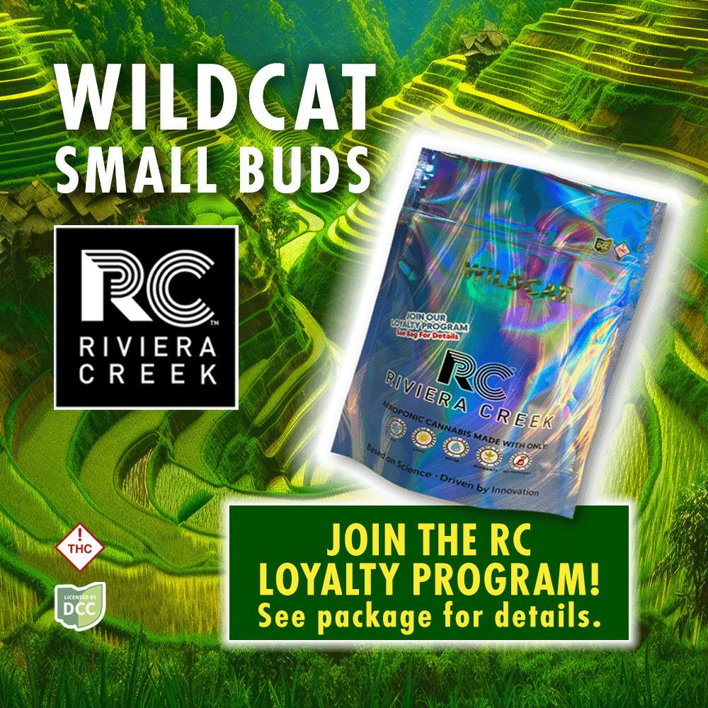 Wild Cat Small Buds