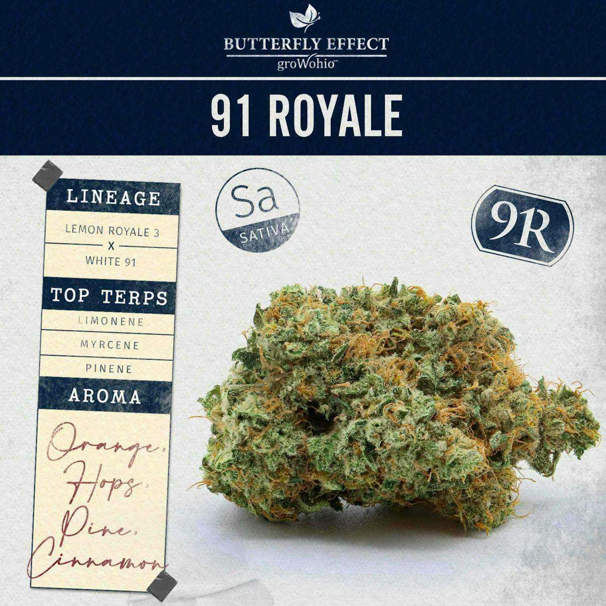 Butterfly Effect | 91 Royale