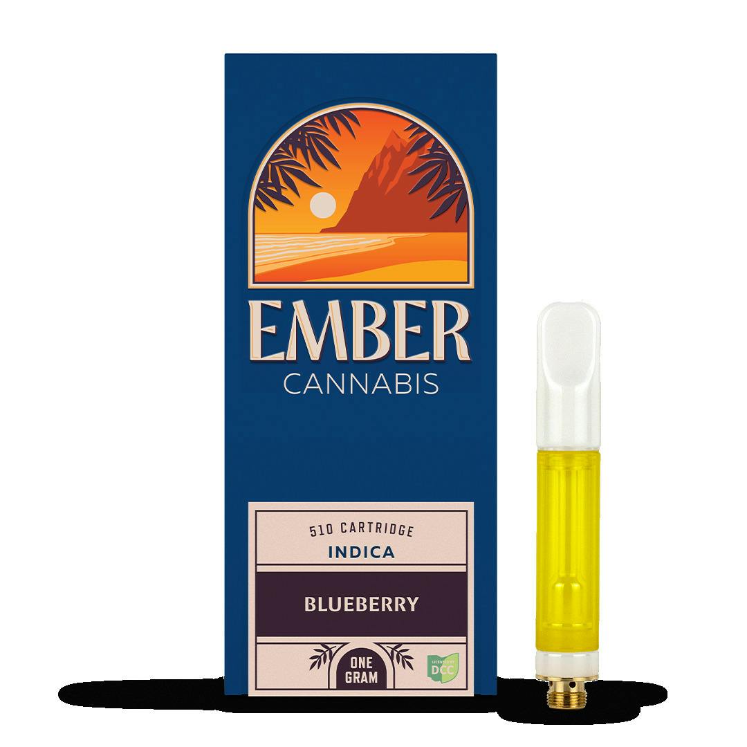 Ember | Blueberry | 1g Distillate Disposable