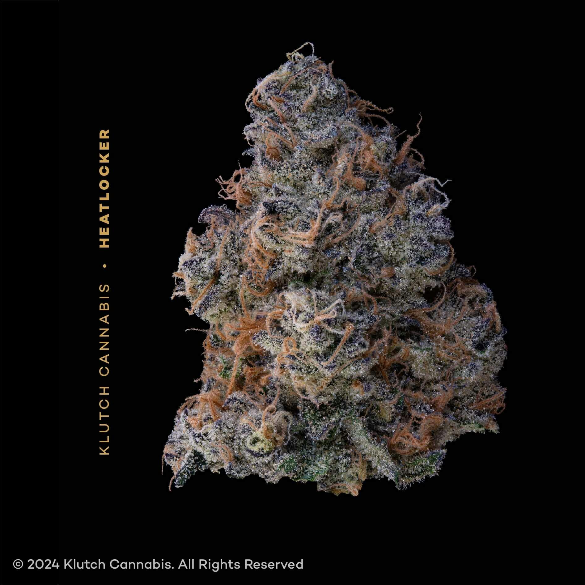 Heatlocker (Sativa)