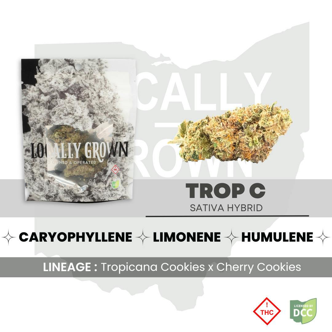 Trop C (Hybrid) at Pure Ohio Wellness