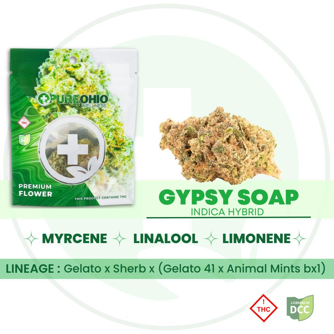 Gypsy Soap (Indica)