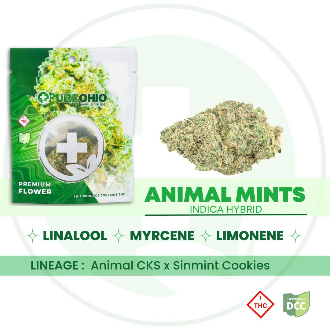 Animal Mints (Indica Hybrid)