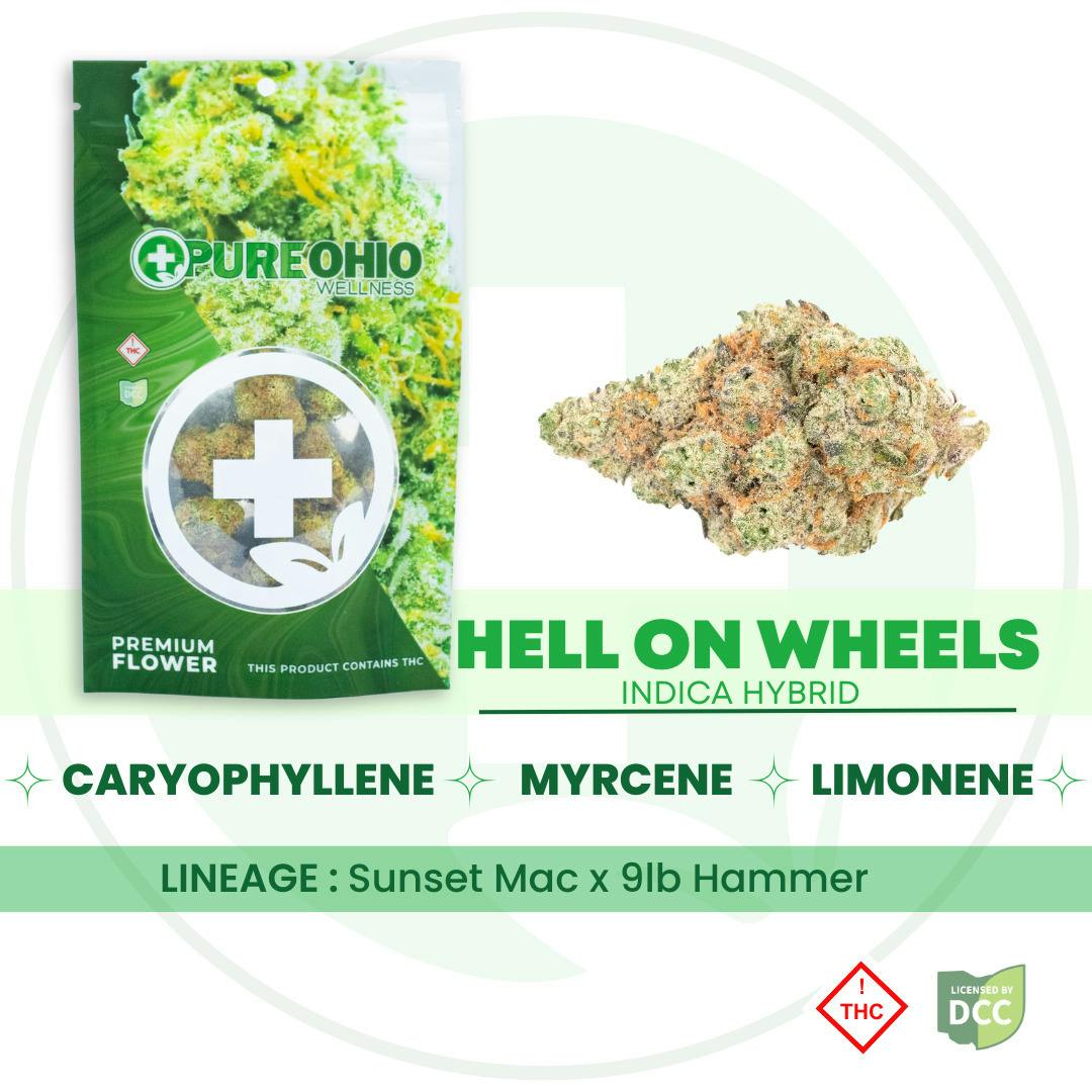 Hell on Wheels (Indica-Hybrid) - 1