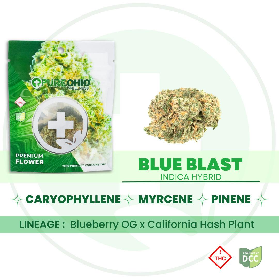 Blue Blast (Indica Hybrid)