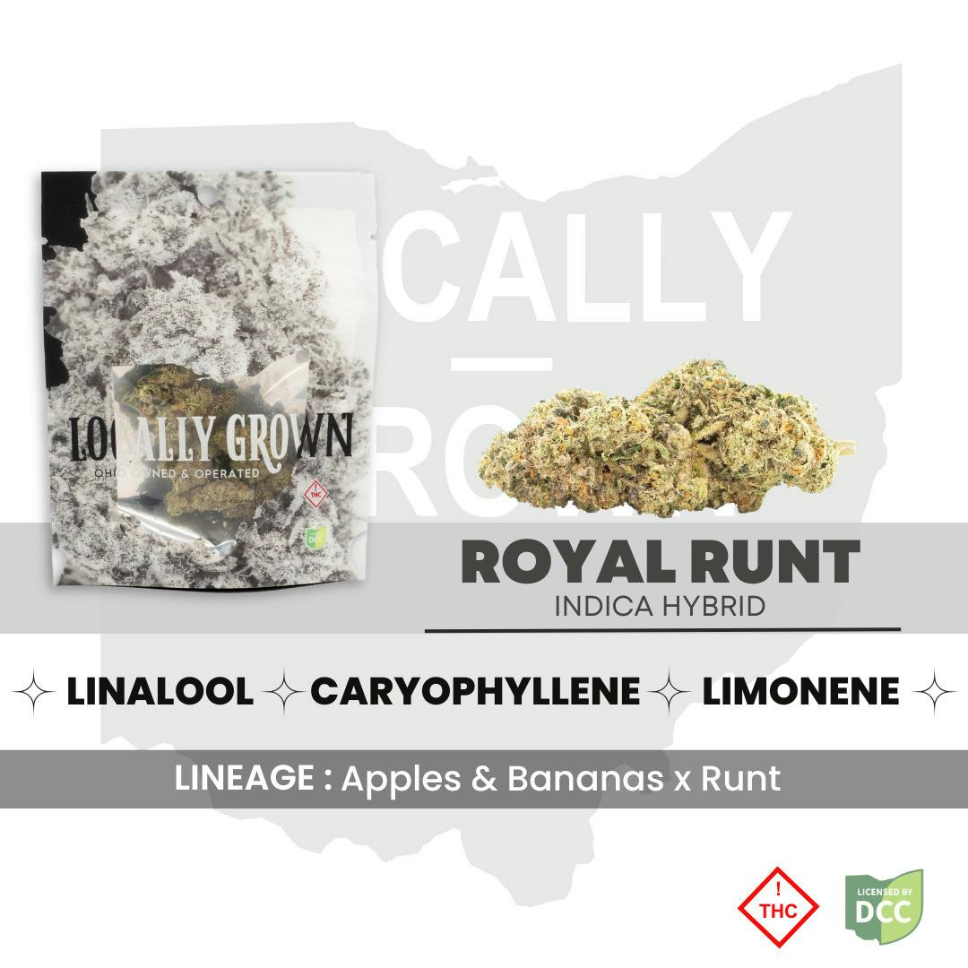 Royal Runt (Indica-Hybrid) at Pure Ohio Wellness