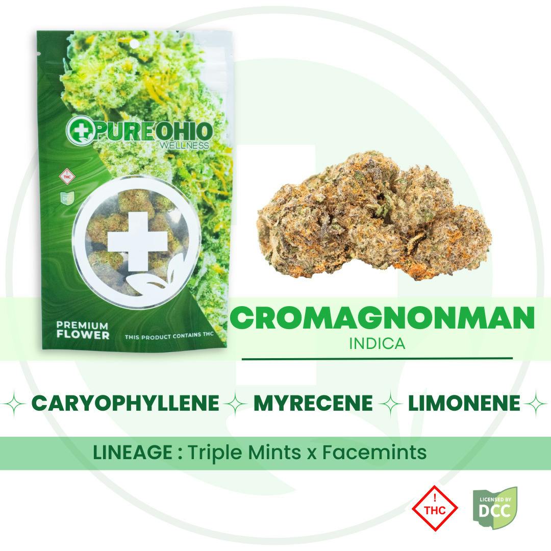 Cromagnonman (Indica) - 1